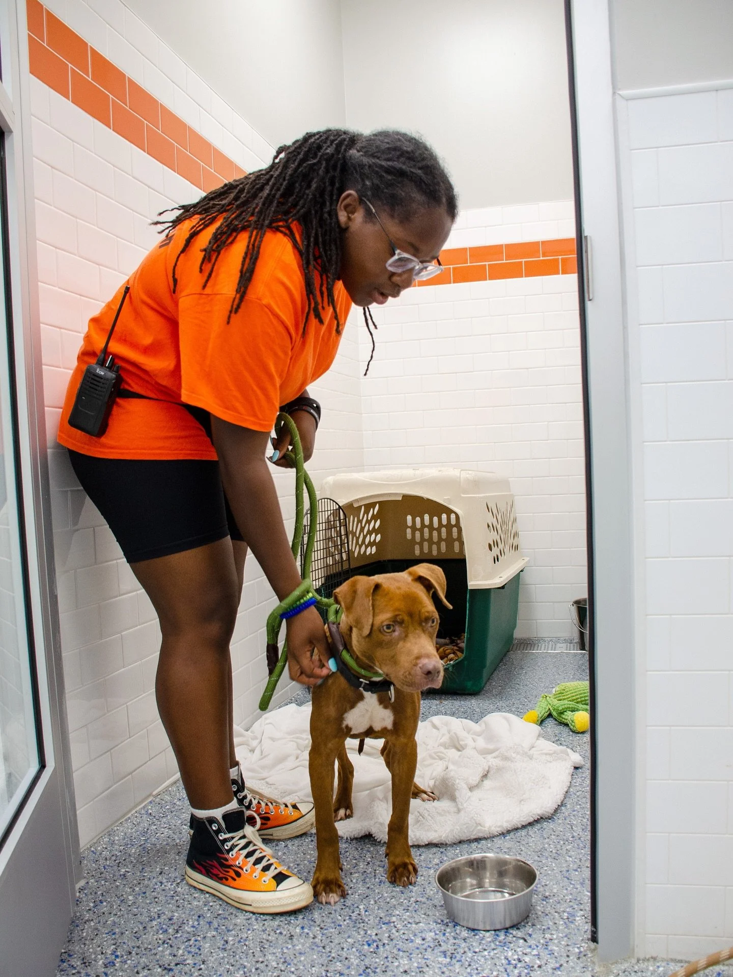 Interested in volunteering at our shelter of the month @humanecharlotte? Read below ⬇️

The Humane Society of Charlotte&rsquo;s Volunteer Program offers a hands-on way to support animals and the community. Volunteers aged 16+ are invited to join HSC&
