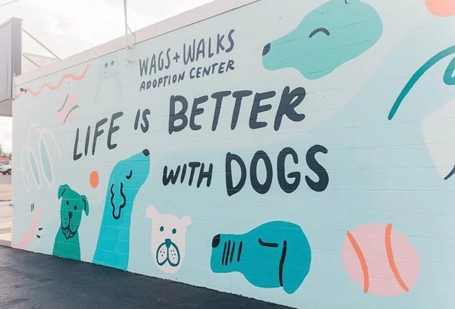 This October, we are proud to feature Wags &amp; Walks Nashville as our Shelter of the Month. 🎃

Since joining the Nashville community in 2019, this dedicated team has been changing the lives of rescue dogs across the South. They focus on helping do