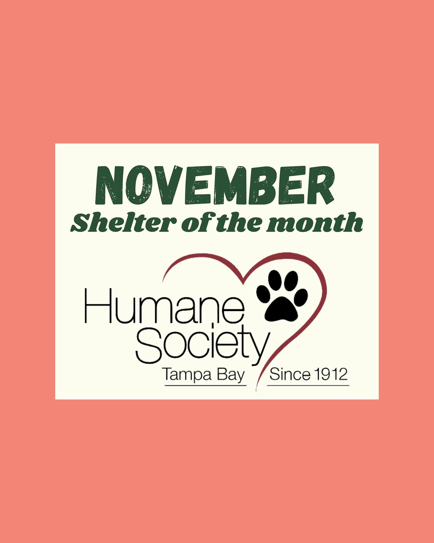 This November, we are proud to feature the Humane Society of Tampa Bay as our Shelter of the Month. 🍂🐾

For more than a century, the Humane Society of Tampa Bay has been a lifeline for animals in need &mdash; providing shelter, medical care, and co