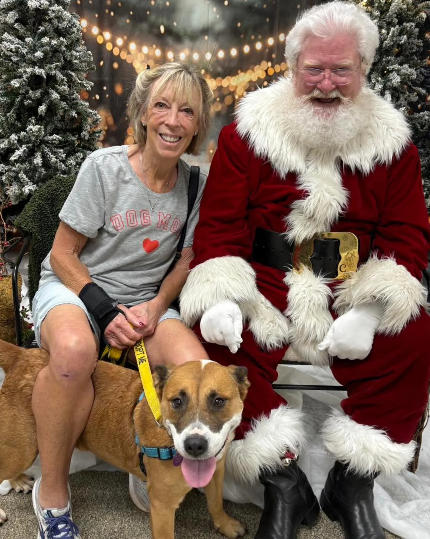 Merry Christmas from P&amp;G and our December shelter of the month: @lohspets 🎄❤️