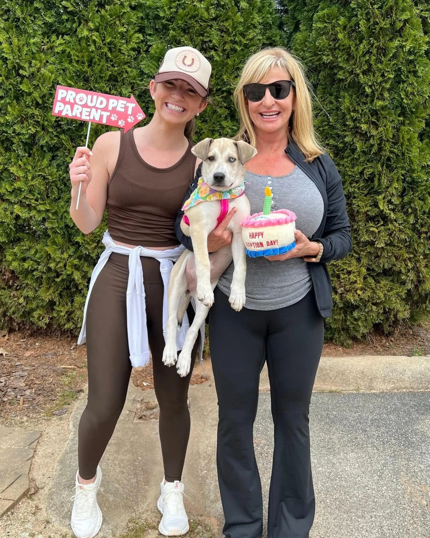 As December comes to a close, we&rsquo;re proud to highlight our Shelter of the Month @lohspets 🐾💚

From lifesaving adoptions to their incredible food distribution program, and introducing us to special dogs like Rascal, LOHS continues to make a me