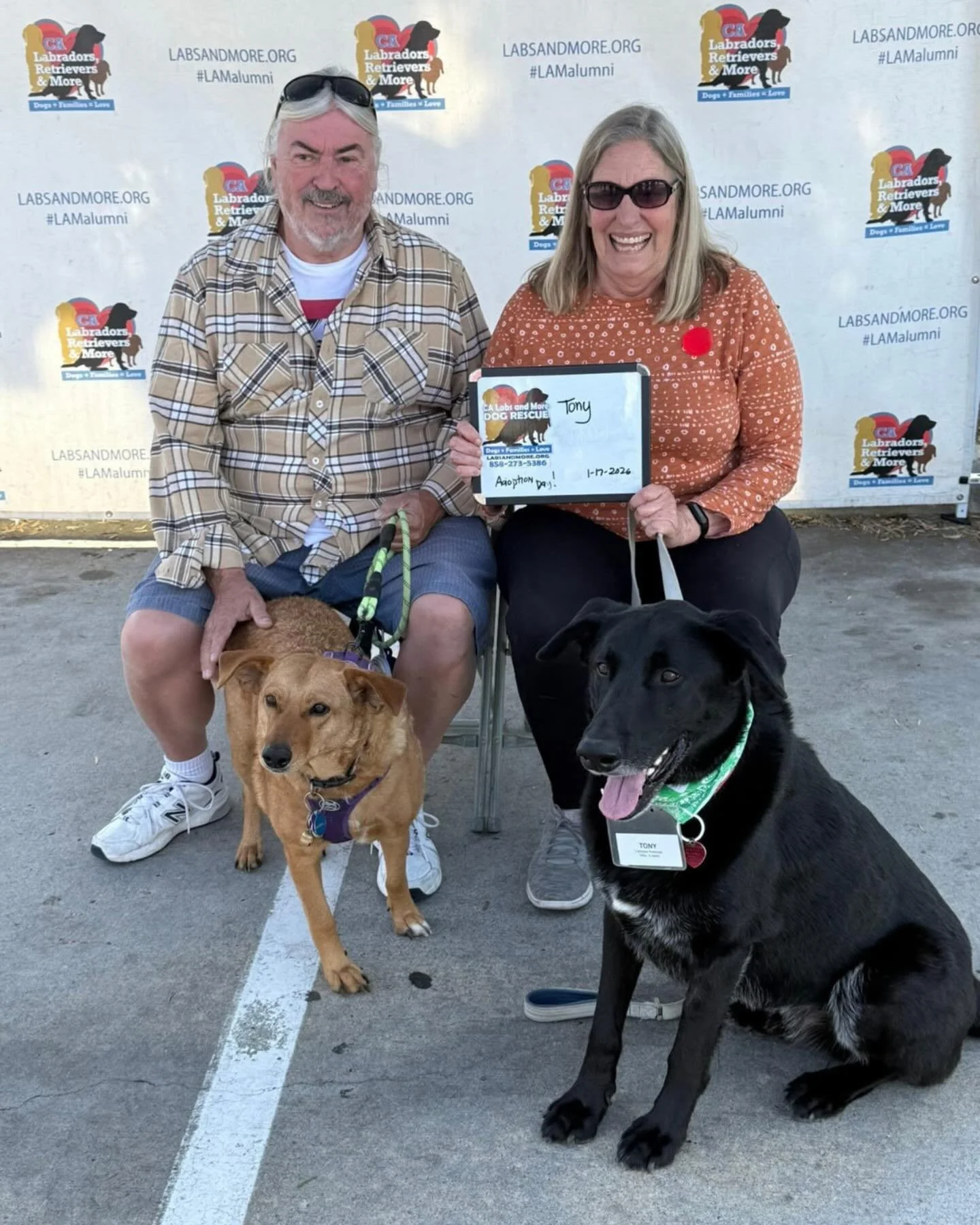 Tony, our dog of the month at @labsandmore has officially been ADOPTED!

Tony has found his forever home, complete with all the cuddles, couch privileges, and love he deserves. Thank you to his amazing adopters for opening their hearts (and their hom