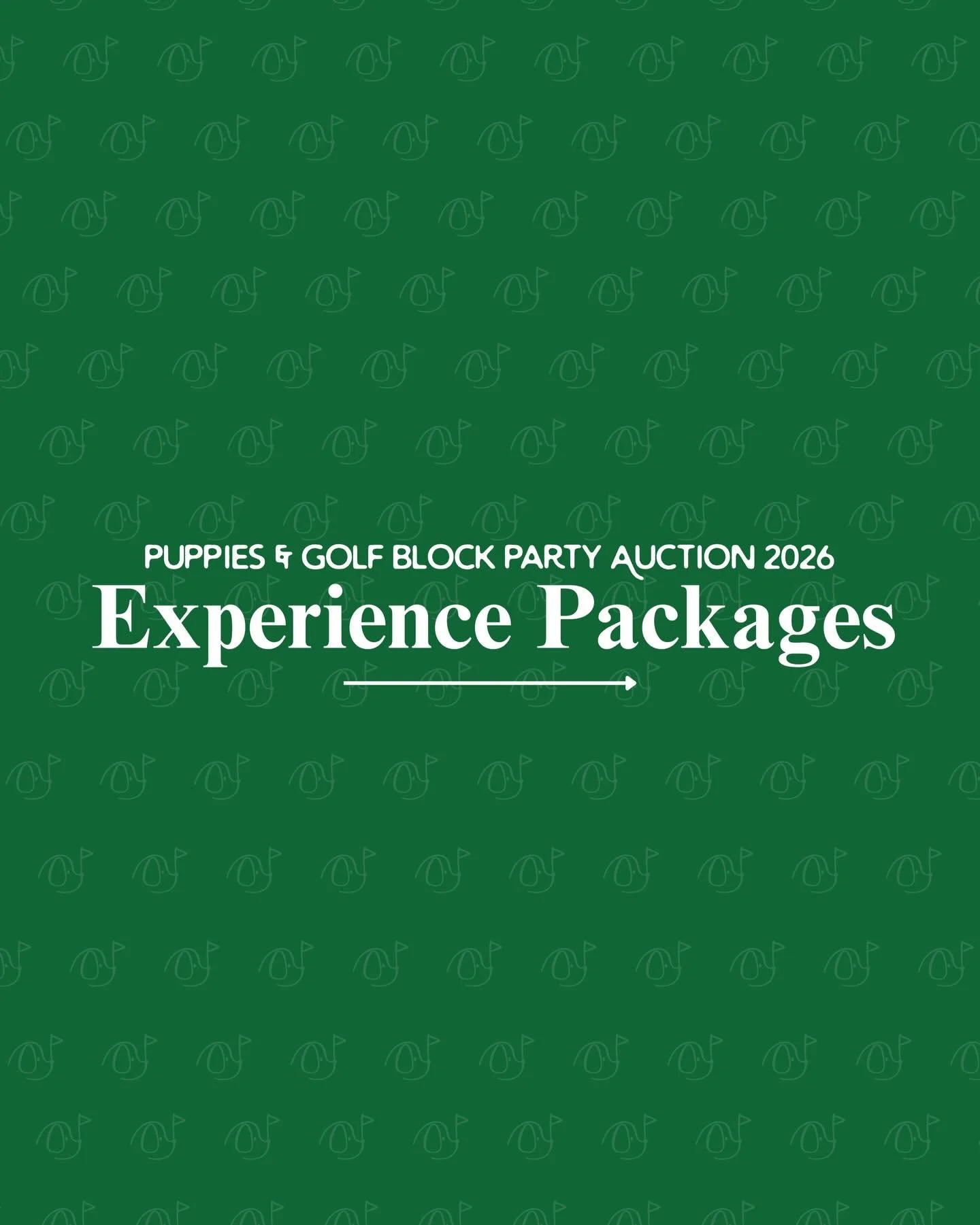 Get your wallets ready! Experience packages you don&rsquo;t want to miss 🤩
 From iconic sporting events to exclusive hospitality and once-in-a-lifetime access, these silent auction experiences are truly unmatched.

Comment &ldquo;experience&rdquo; a