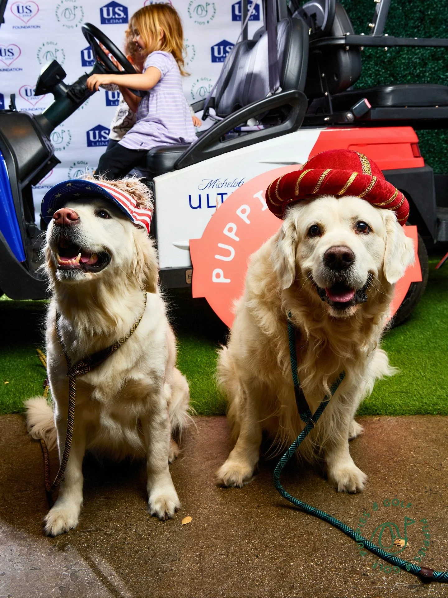 All paws on deck 🐶

The Block Party was full of wagging tails, smiling faces, and unforgettable moments. Thanks to all our pup parents for coming out and celebrating with us!

#puppiesandgolf #adoptdontshop #dognonprofit