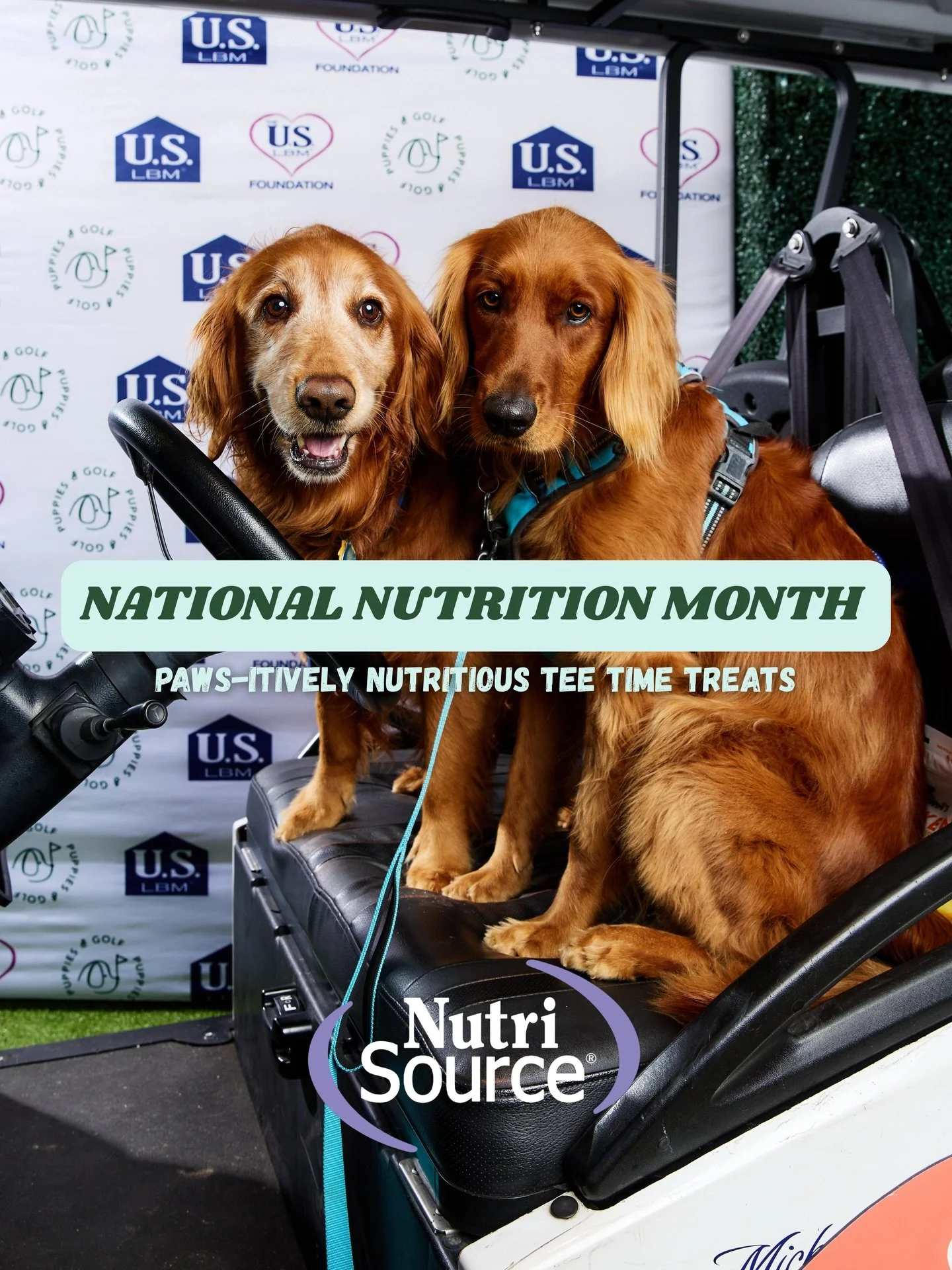March is National Nutrition Month! 🐾⛳

After a round of golf, reward your furry caddie with some healthy, pup-safe snacks that keep tails wagging and energy up.

What is your pup&rsquo;s favorite post-round treat?

#puppiesandgolf #adoptdontshop #do