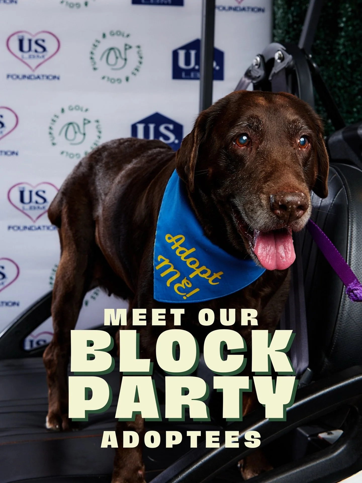 Meet our Block Party adoptees 🐶

14 adoptable dogs came to paw-ty with us from our January shelter of the month @labsandmore and 8 found their forever home!

Thank you to everyone who came out to support, and a huge thank you to the new families wel