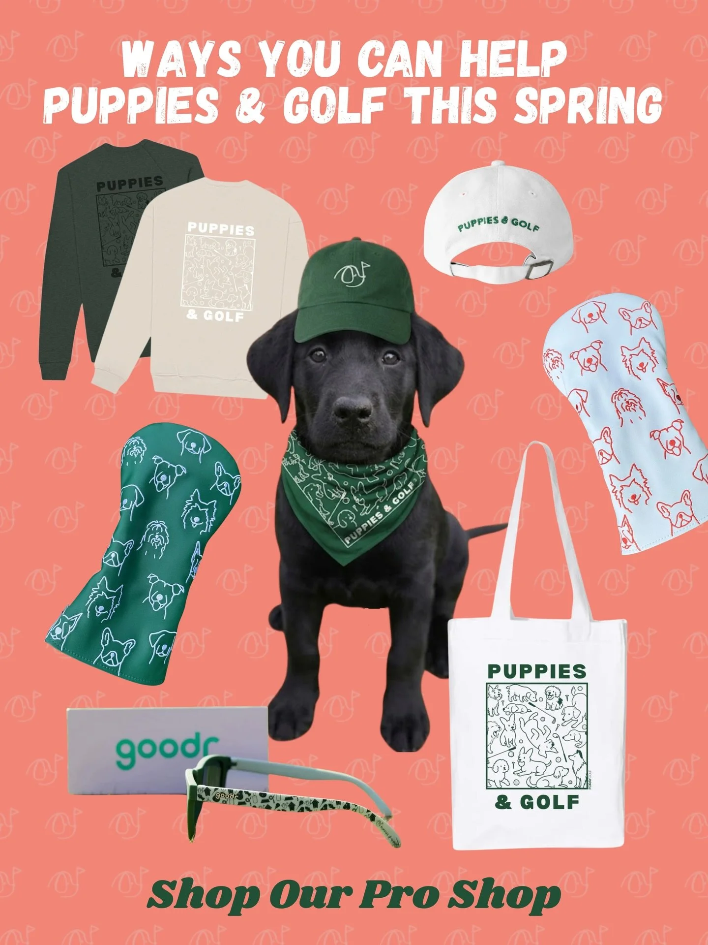 Spring has sprung, and golf season is in full swing! ⛳️💛

Whether you want to support Puppies &amp; Golf in person or remotely, swipe to see how you can get involved, on and off the course.

Interested in volunteering? Comment &ldquo;Volunteer&rdquo