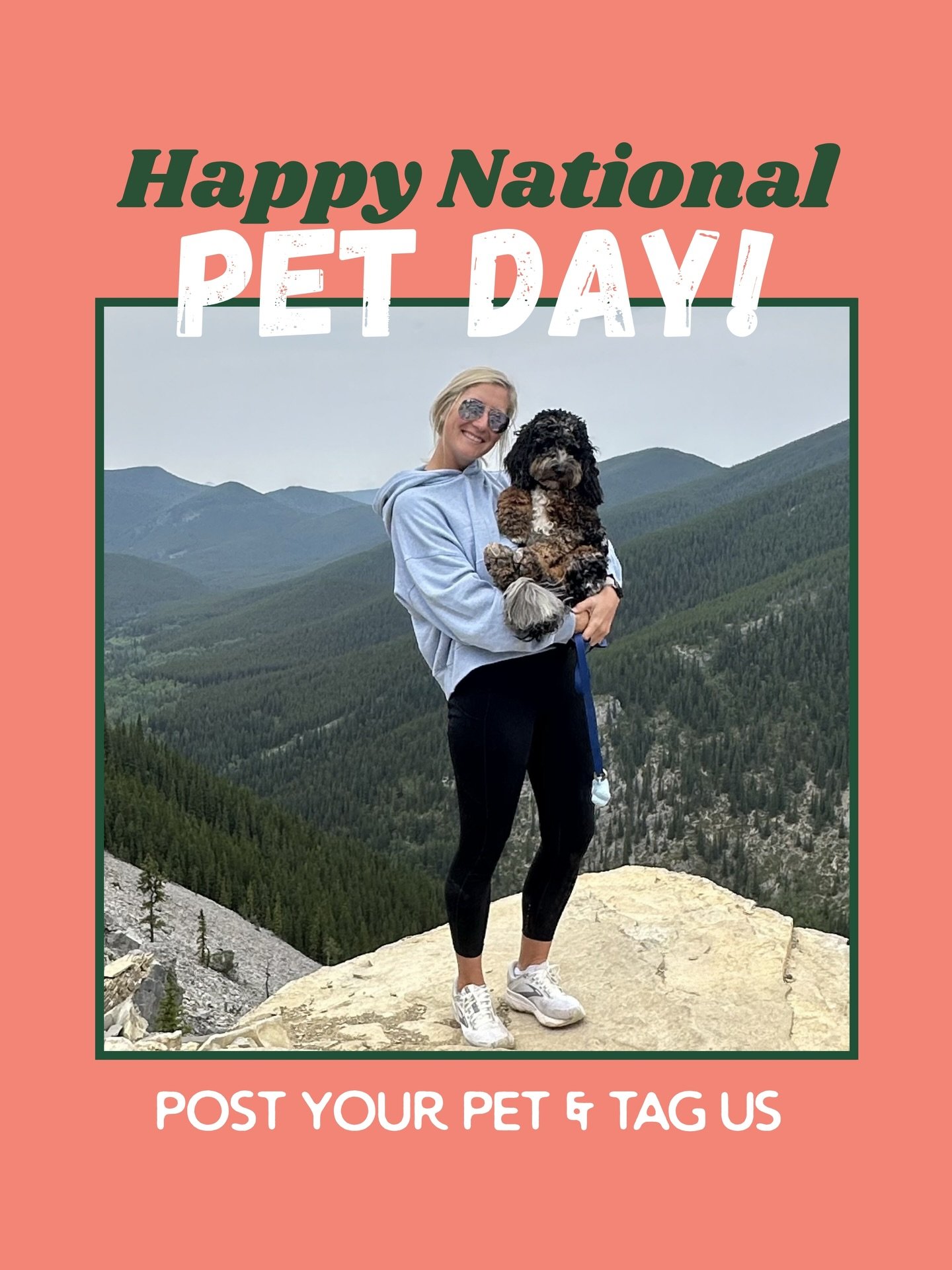 Happy National Pet Day 🐾  from @the_berne_bear 

We&rsquo;re celebrating all the pups that make life better every day 🤍

Post your pet to your story and tag us, we&rsquo;ll be sharing all the pups all day!

#puppiesandgolf #adoptdontshop #dognonpro