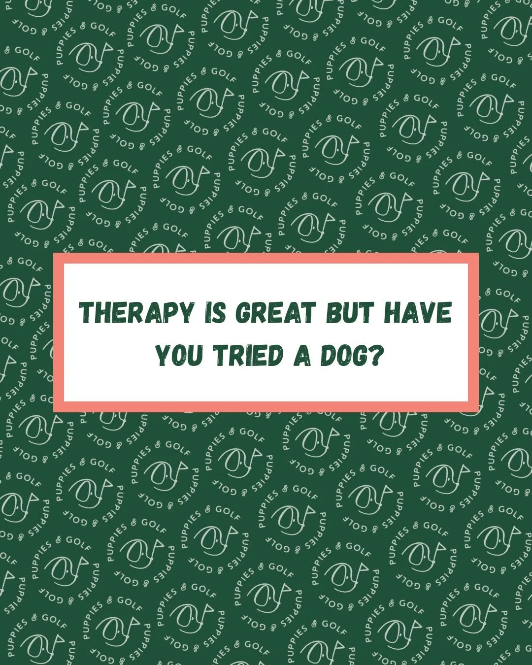 Dog people get it.🐾

Swipe for some truths we can all relate to - and remind yourself why life is better with a dog by your side. At Puppies &amp; Golf, we&rsquo;re on a mission to make sure every pup gets the chance to have a home!

#puppiesandgolf