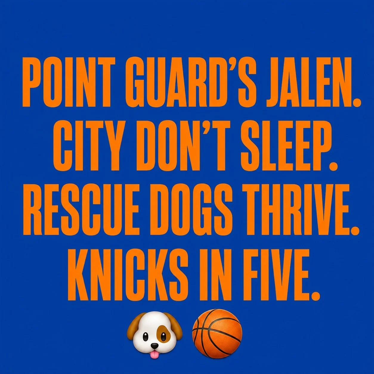 When you find out @jalenbrunson1 &lsquo;s dogs are rescues from a small, family run shelter on Long Island. GO NY GO!! #knicks #adopt 

📸: Knicks, @jalenbrunson1 IG
