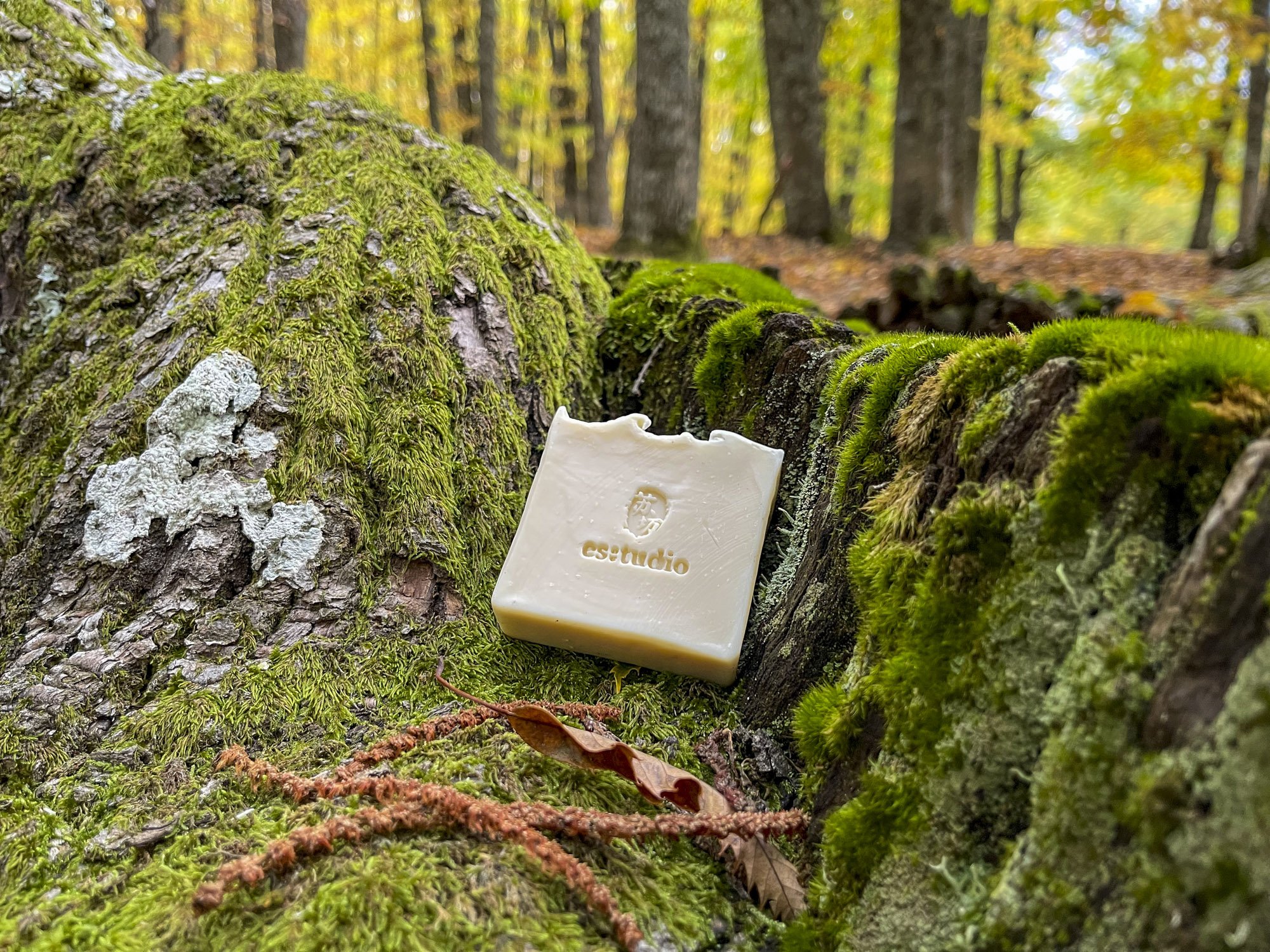 Castile Soap | Unscented