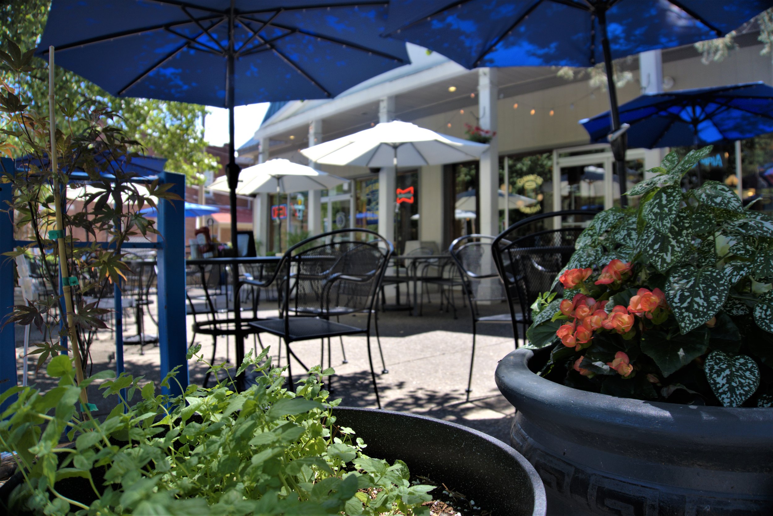 OLYMPIA KEBOB HOUSE & TAVERNA