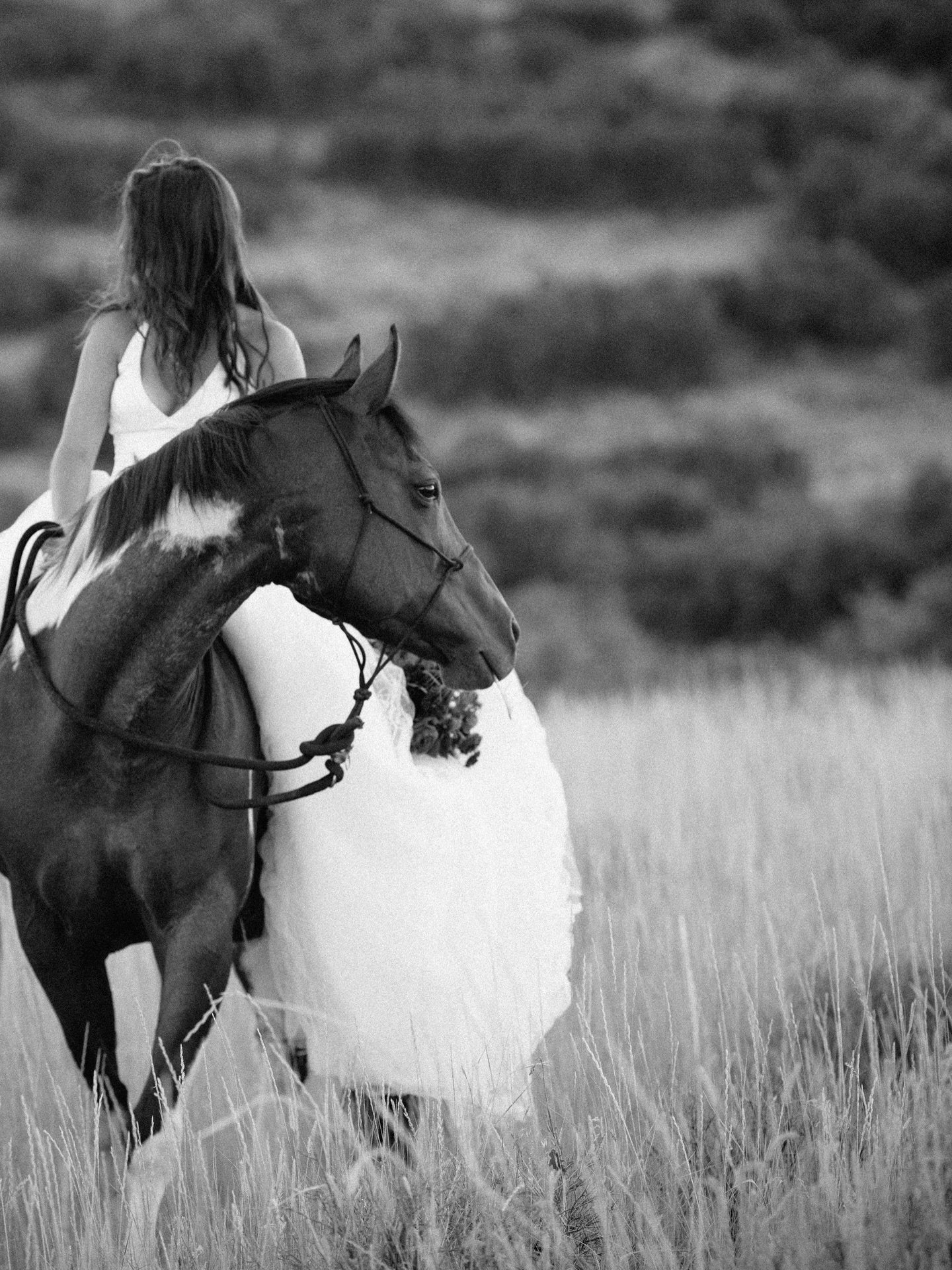 An alchemist of hearts, she turned my soul to gold.

~Atticus

Photographer: @sparkle_illuminating 

#ranchwedding #parkcitywedding #love