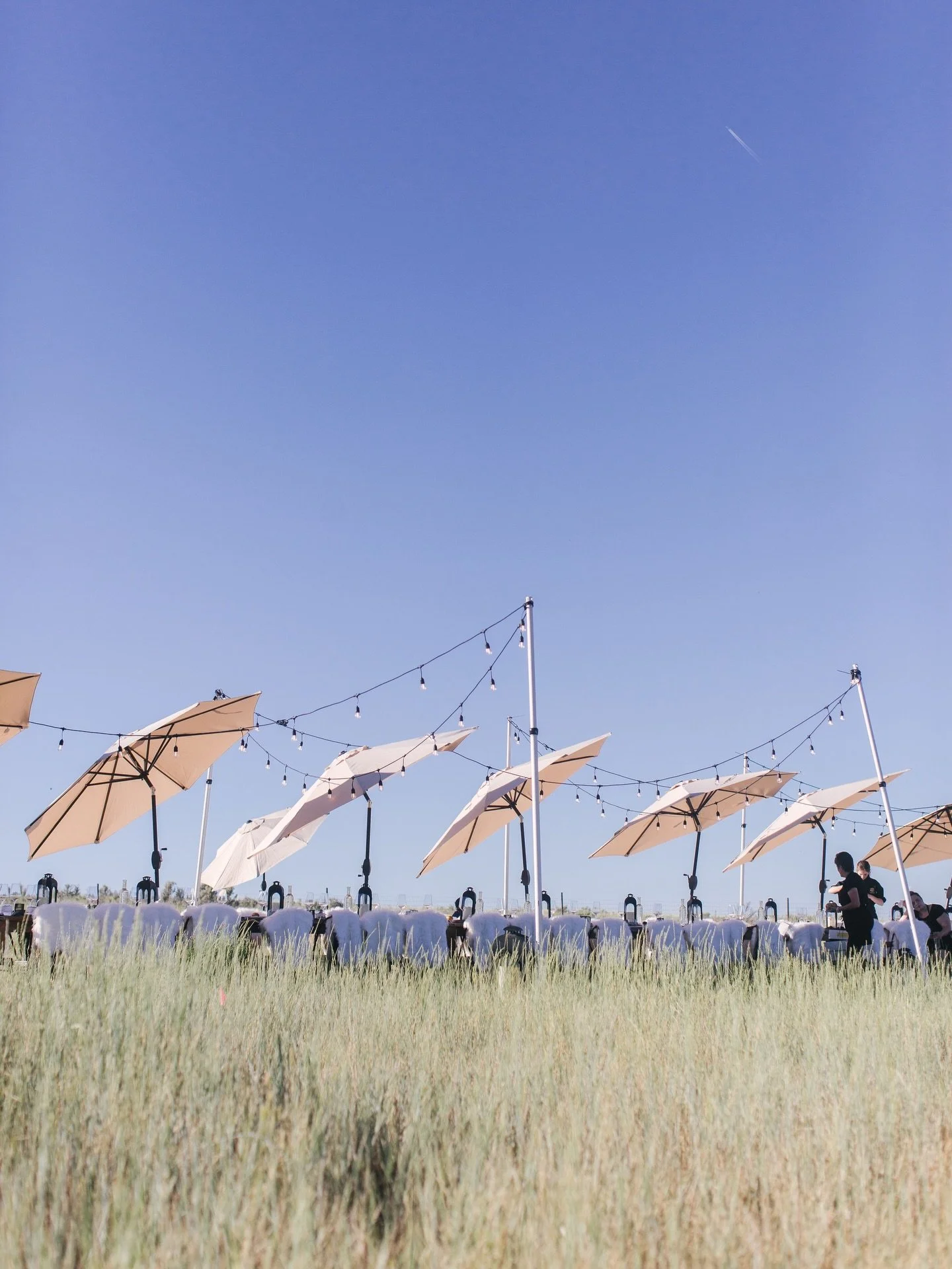 Laughter, mountain air, and unforgettable company&mdash;the finest kind of medicine.🌾✨

Photographer: @erinkatephoto 

#parkcityevents #luxuryranchevents #parkcitysummer