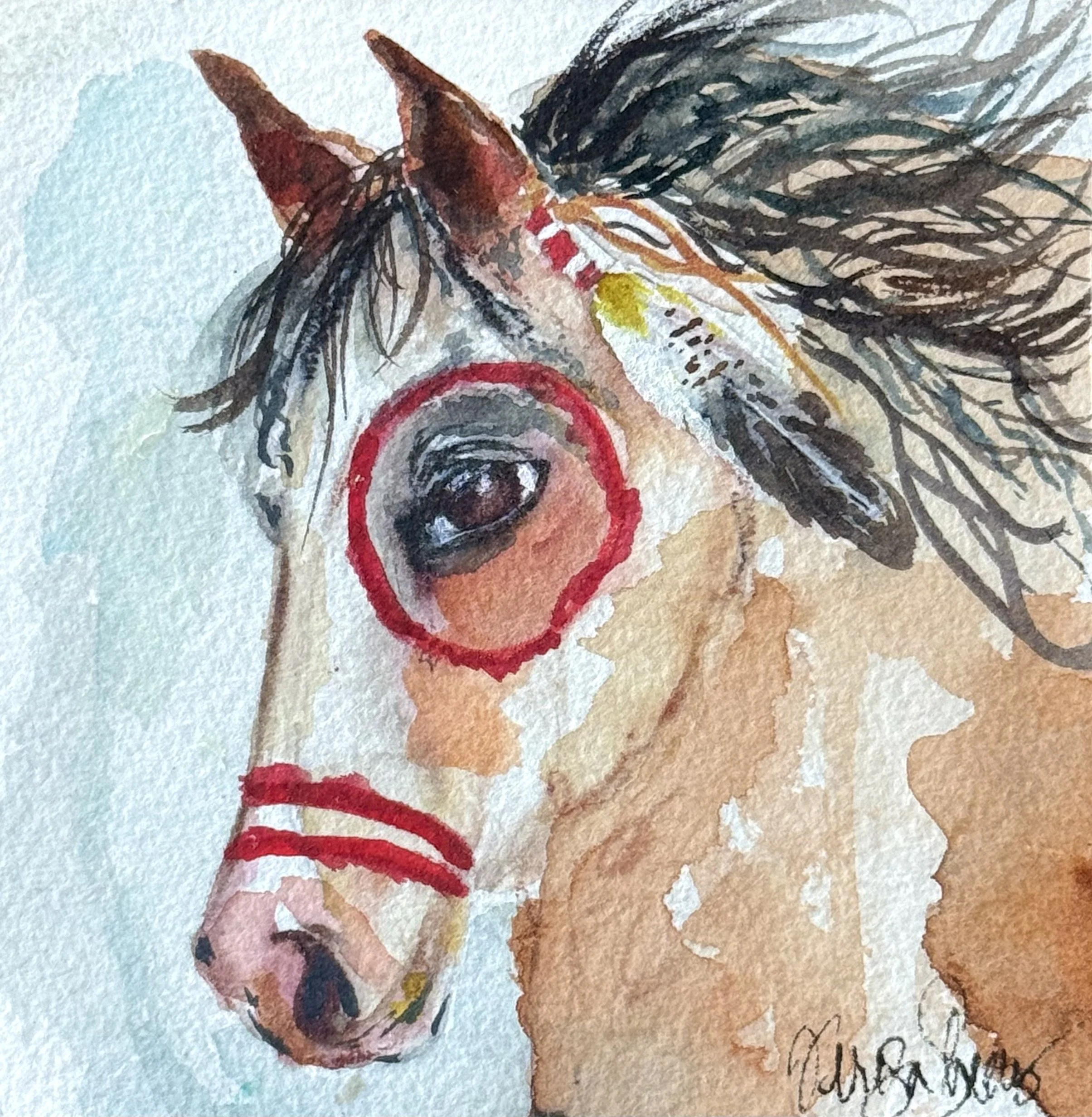 War Pony