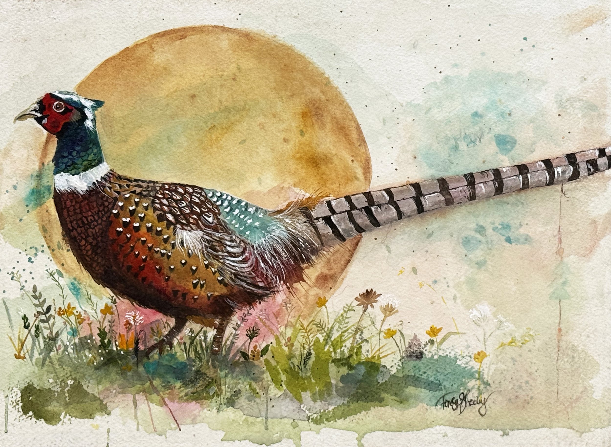 print pheasant.jpg