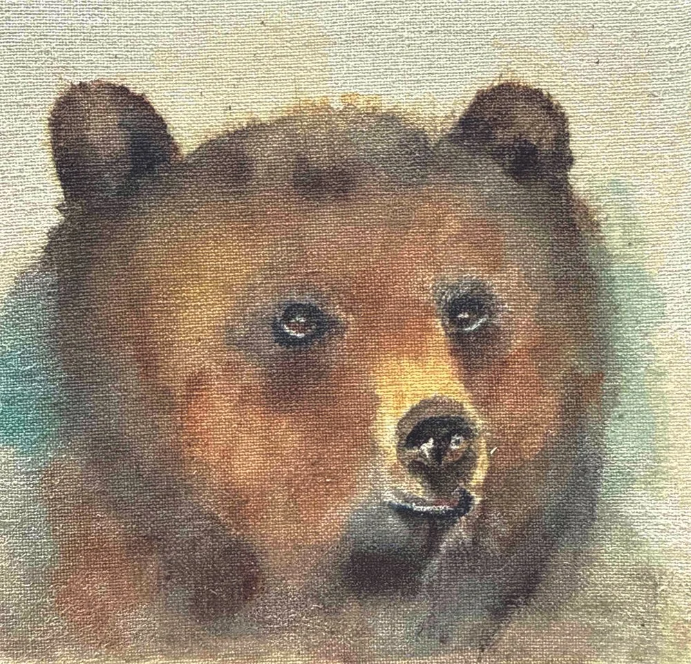 Bear