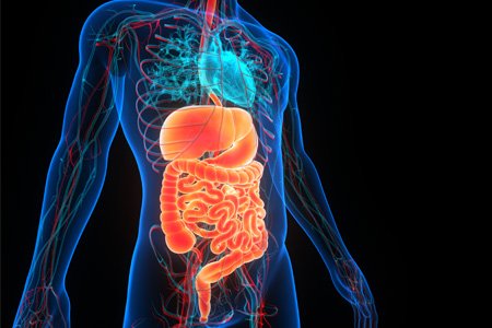 Food as Medicine Series: Pt. 1- Holistic Health Overview