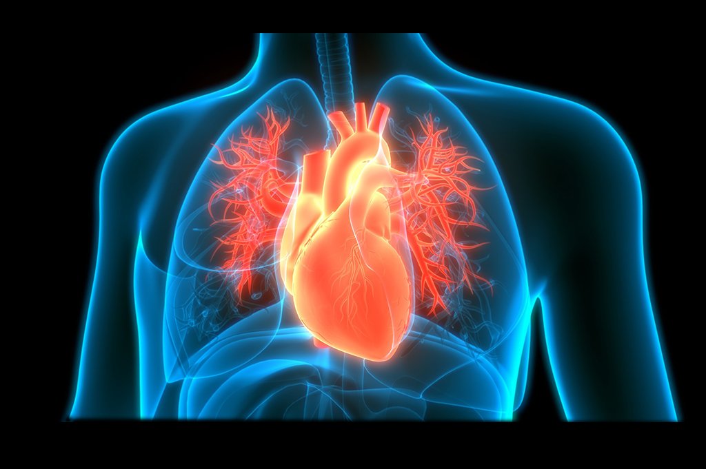 Food as Medicine Series: Pt. 3- Heart Health & Stroke Prevention