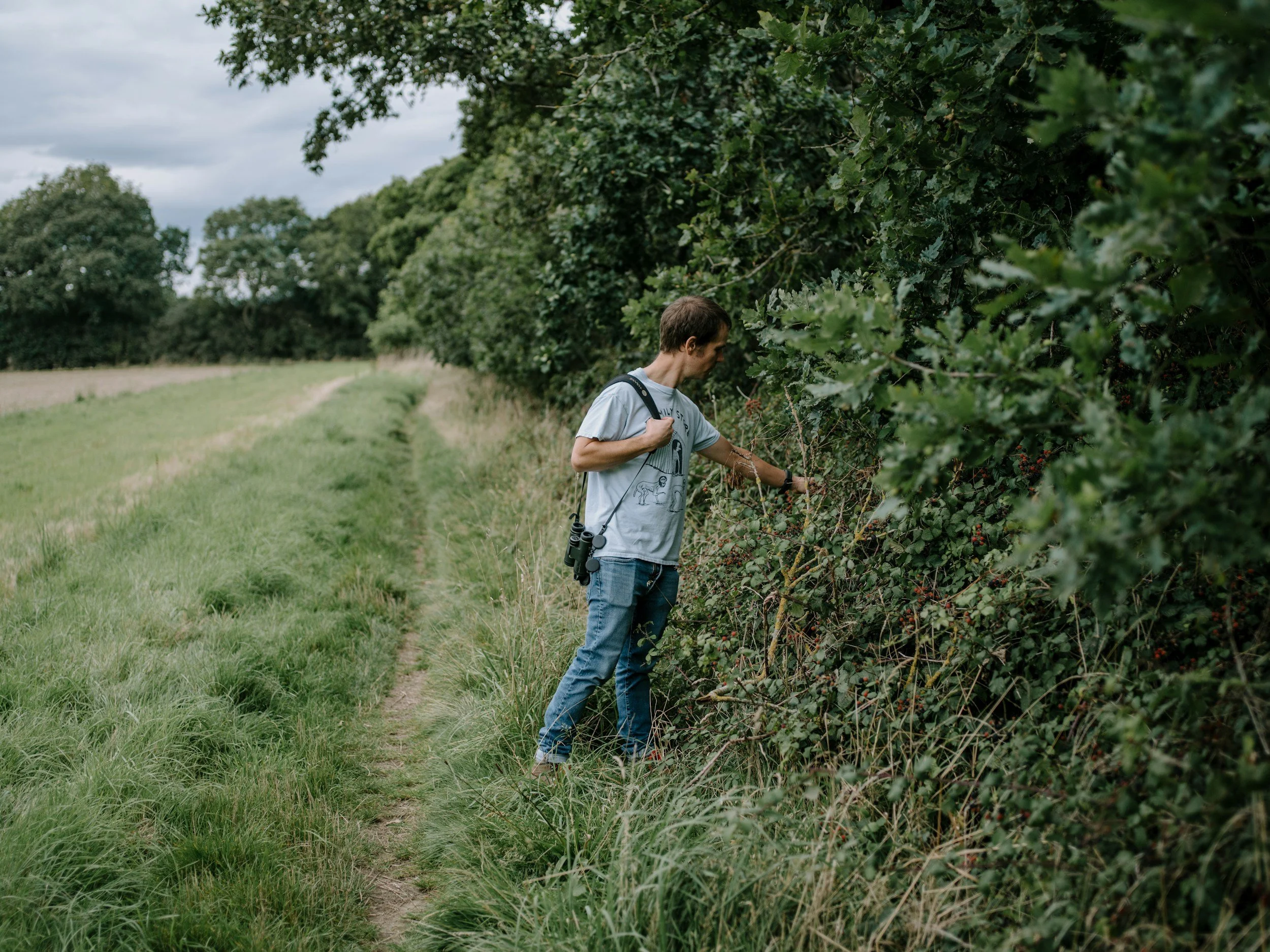 Foraging Walk + Tasting