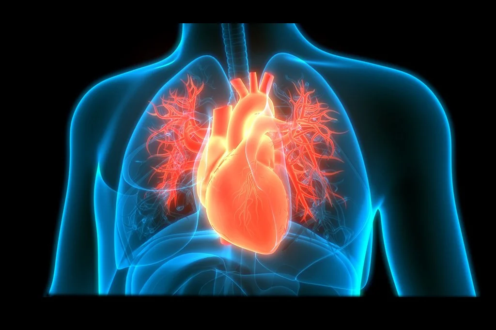 Heart Health and Stroke Prevention Seminar at the Market