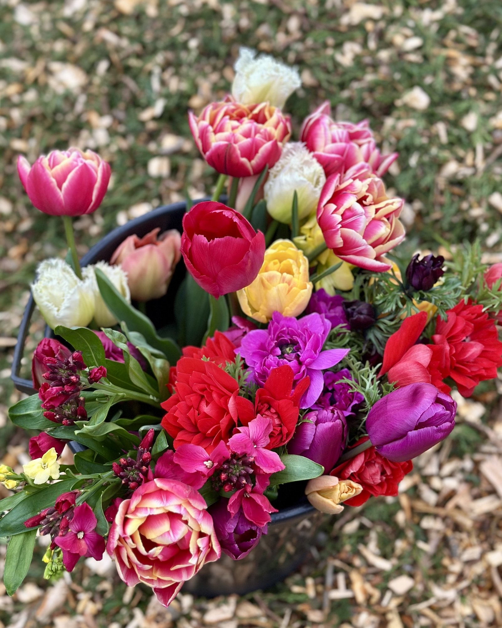 April jewel colours.jpg