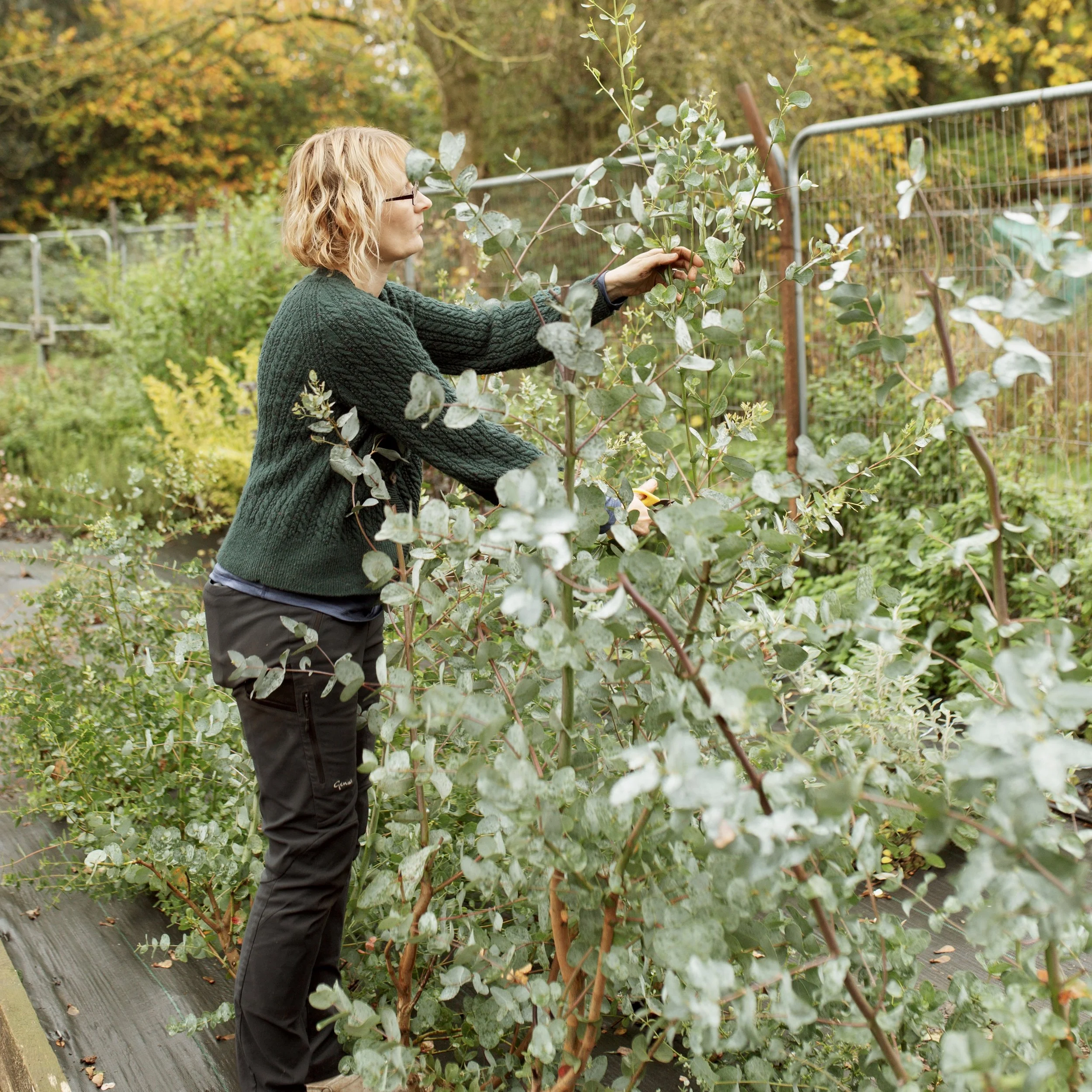 CuttingGarden-067 2.jpg
