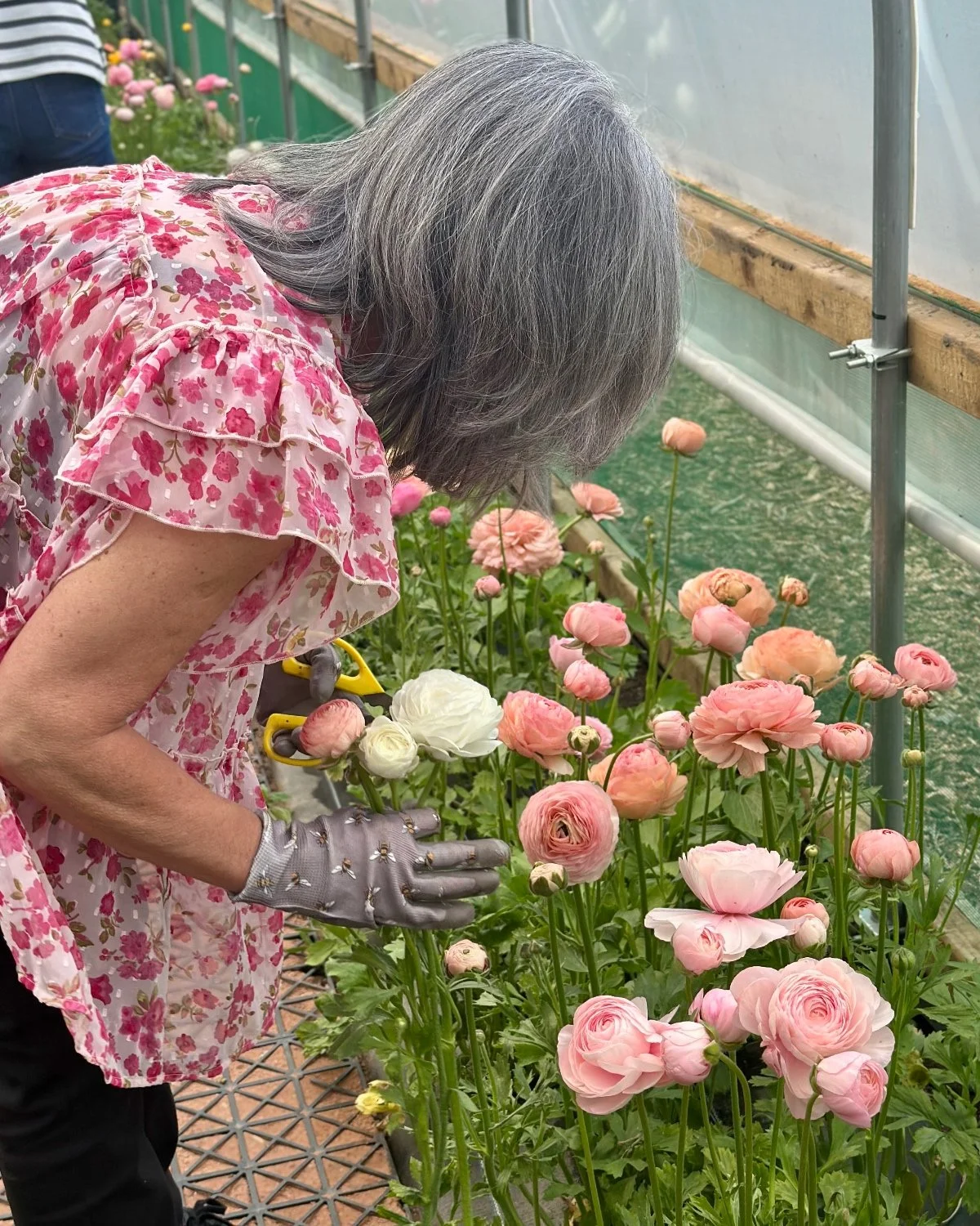 April Flower Club: Tuesday 21st April, 10.30 - 11.45am