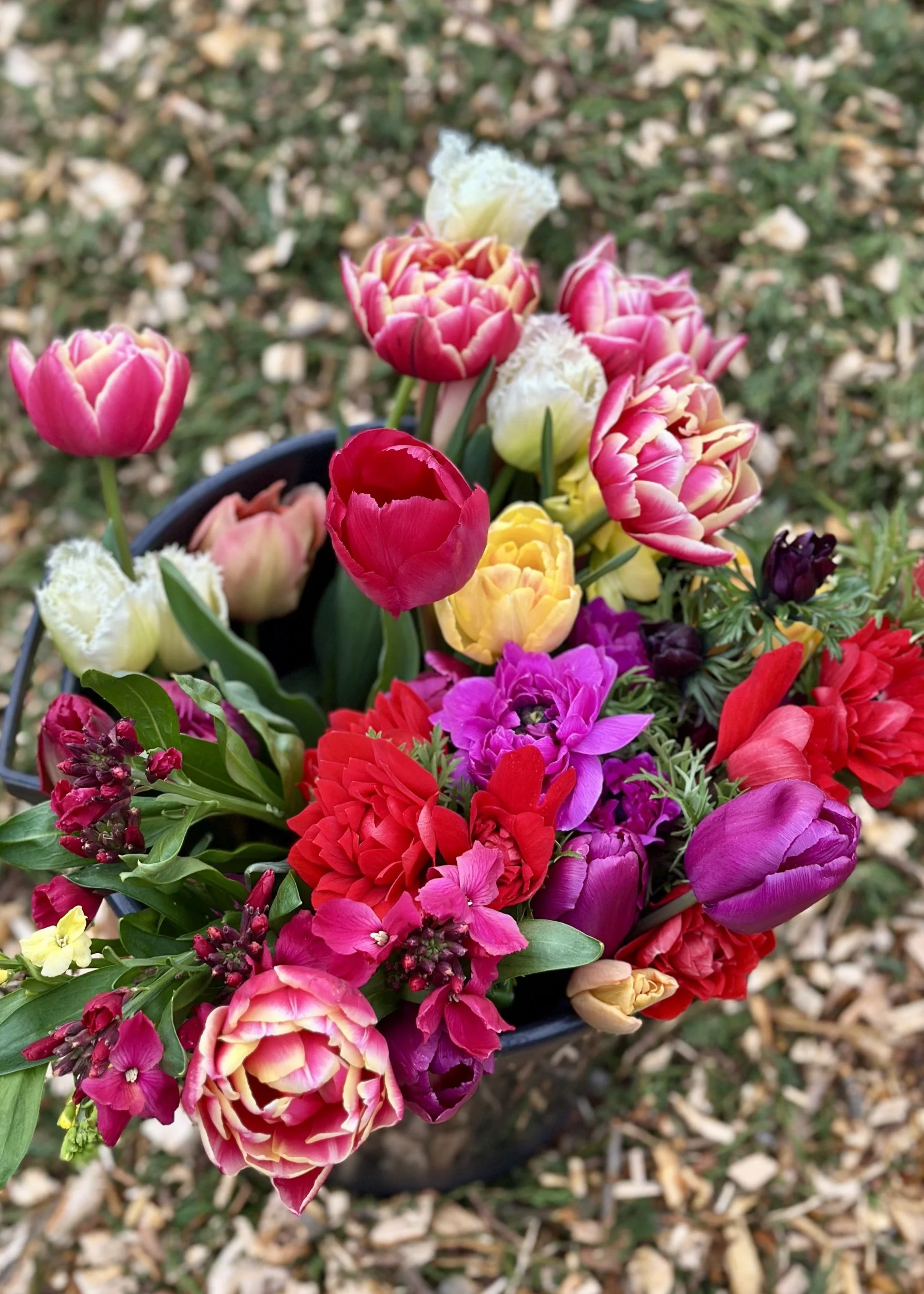 Spring bucket jewel.jpg