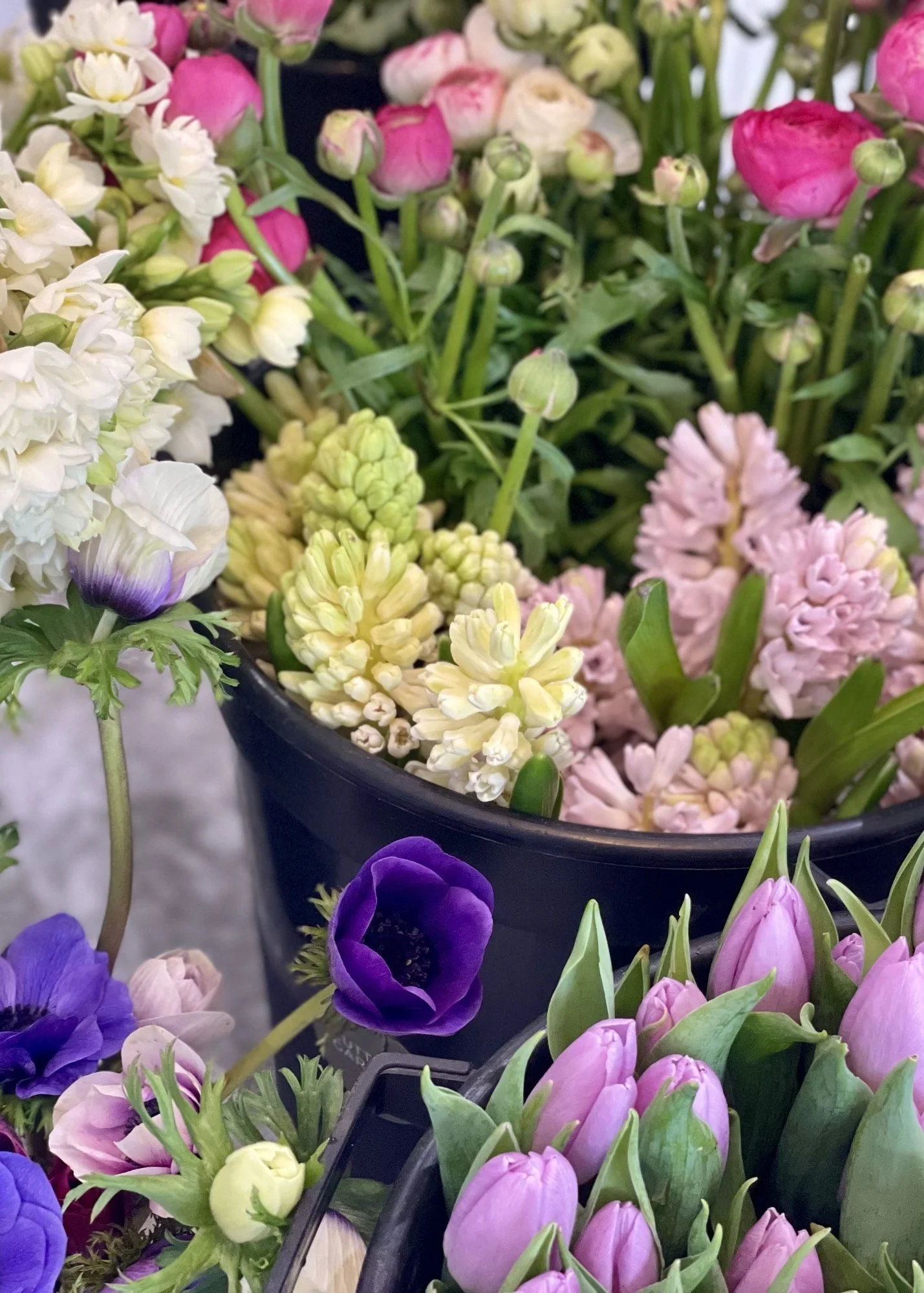 Hyacinths, Anemones etc.jpg