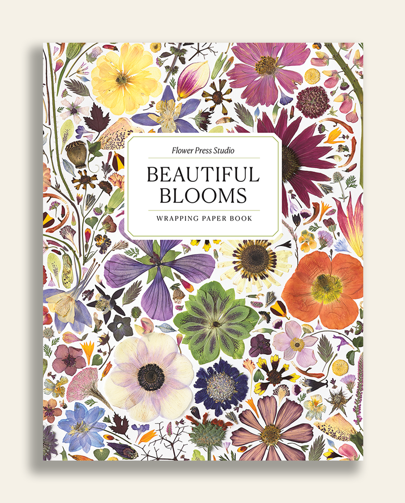 Beautiful Blooms Wrapping Paper Book