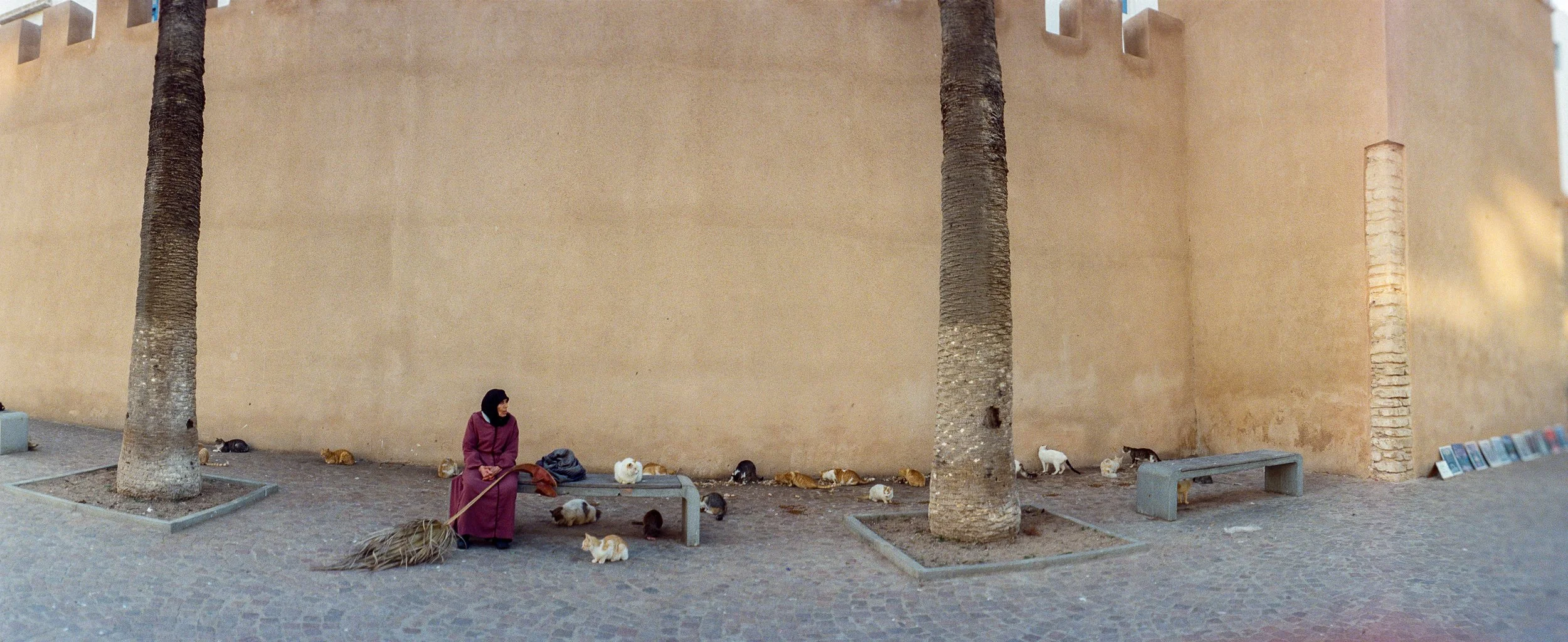 000176500005_### copie.jpg