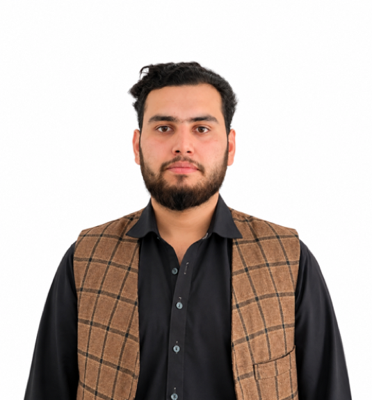 Mansour Faizy