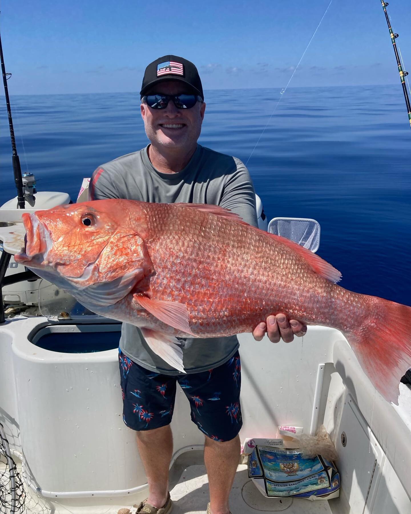 @capt_major &amp; crew put the heat down on them yesterday on a 6 hour excursion lots of days available for #redsnapper season 🎣🐟
&bull;
&bull; 
For booking contact (941) 545-0924 (813) 731-5325
@yellowfin_official @rhodanmarine @simradyachting @st