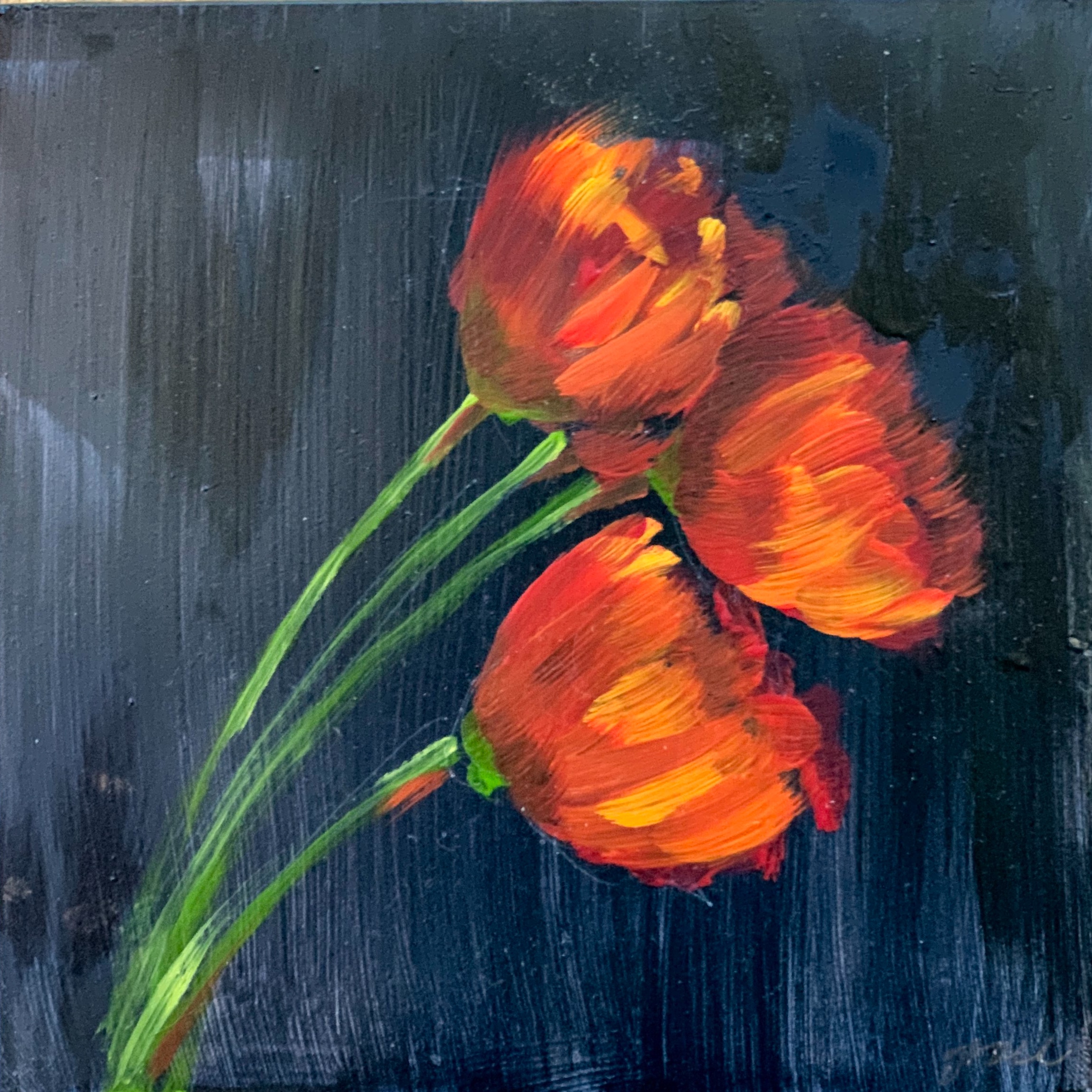 Poppies - Payne's Grey