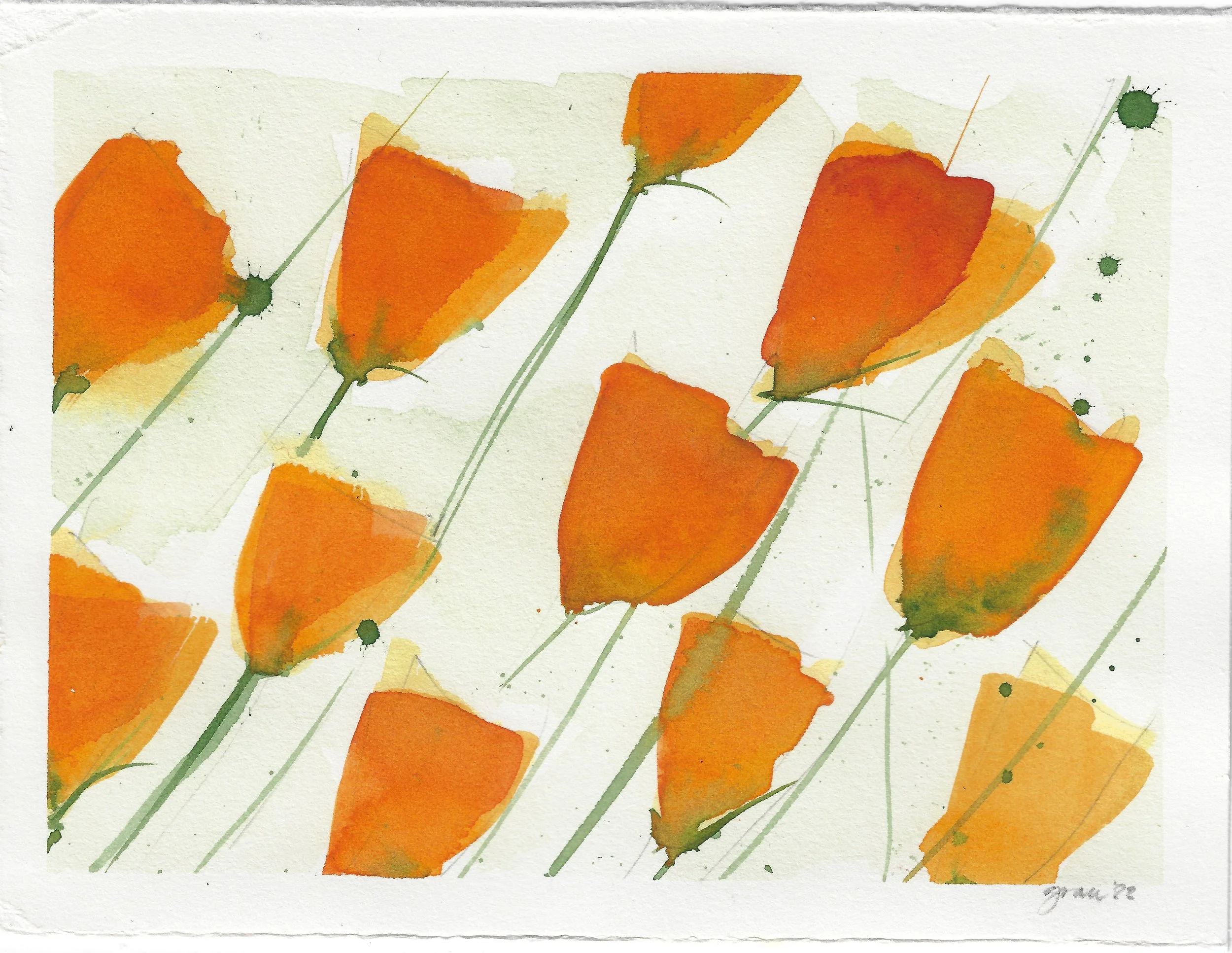 Cali poppies small horz 1 2.jpeg