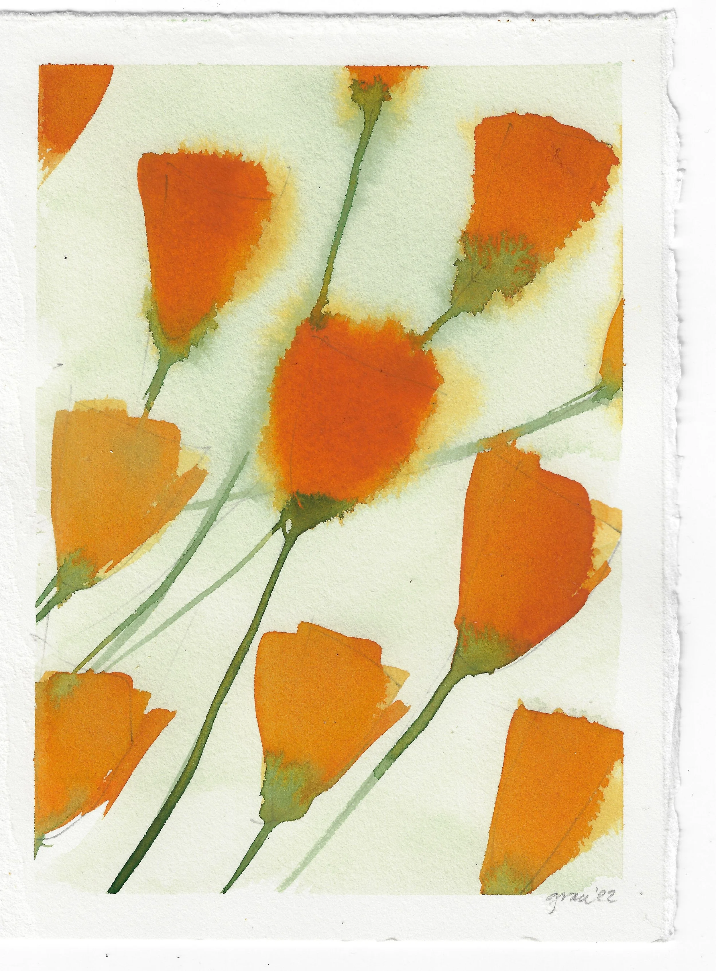 Cali poppies small vert 1.jpeg