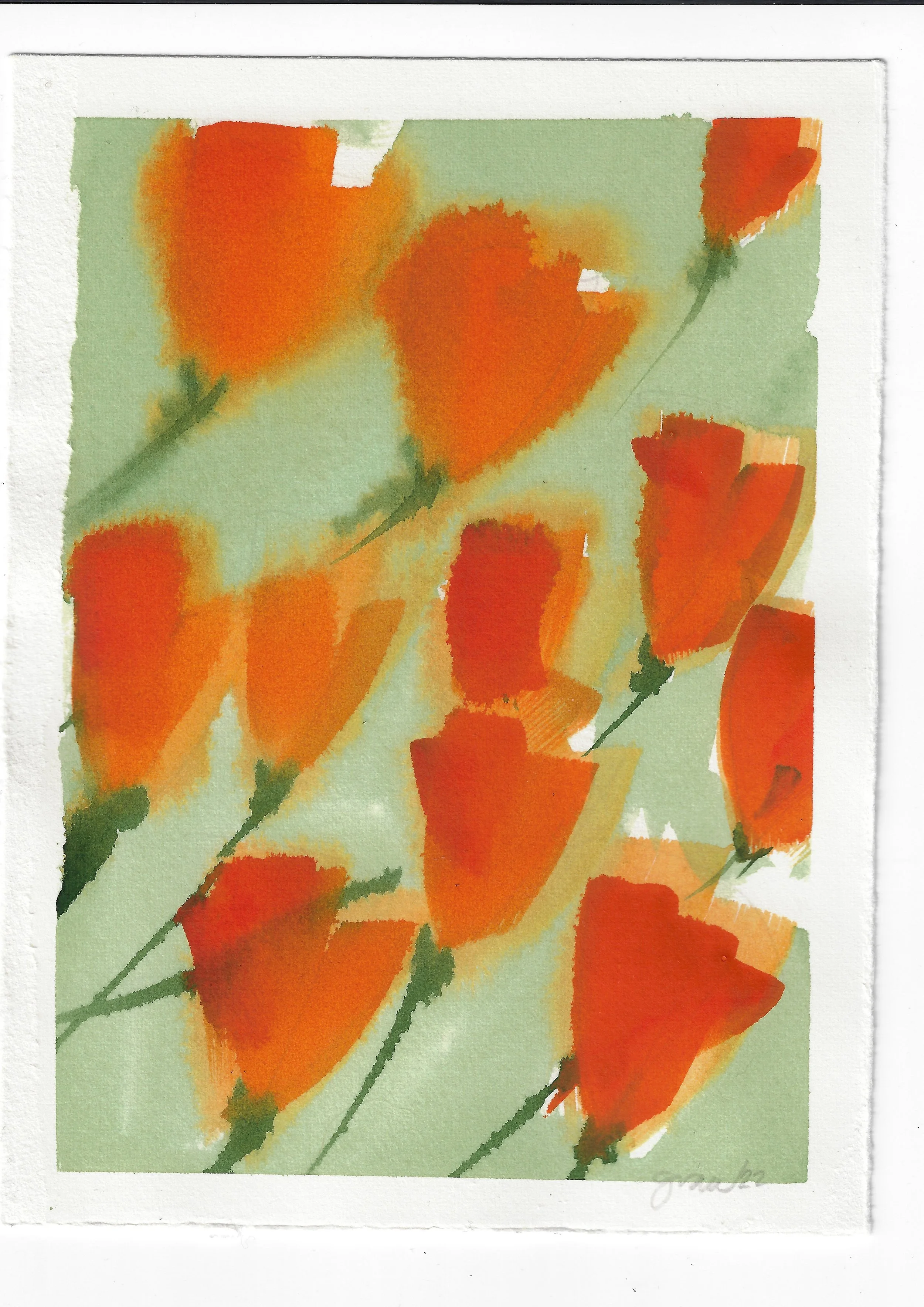 Rennie's poppies.jpeg