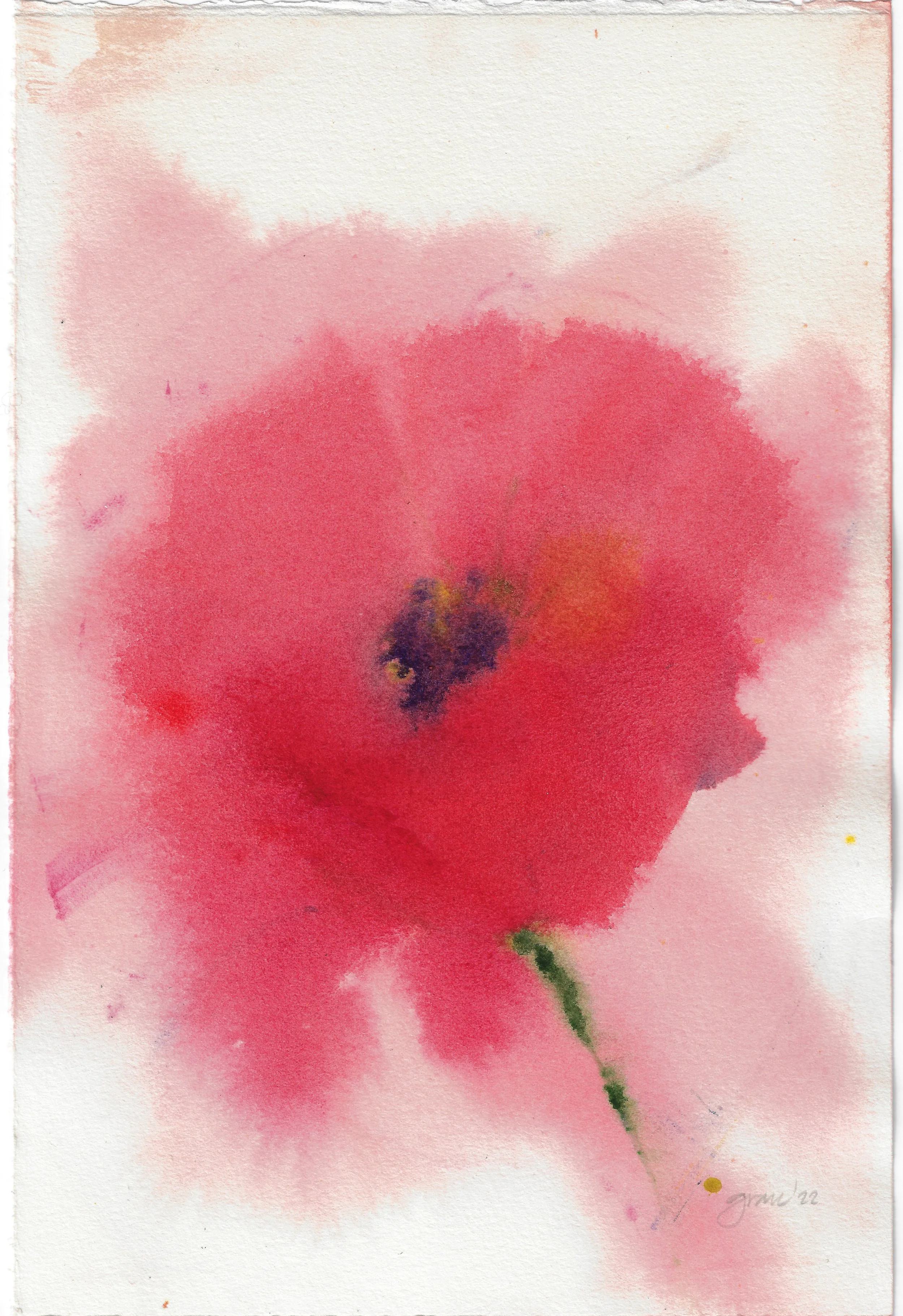 Big Red Poppy1.jpeg