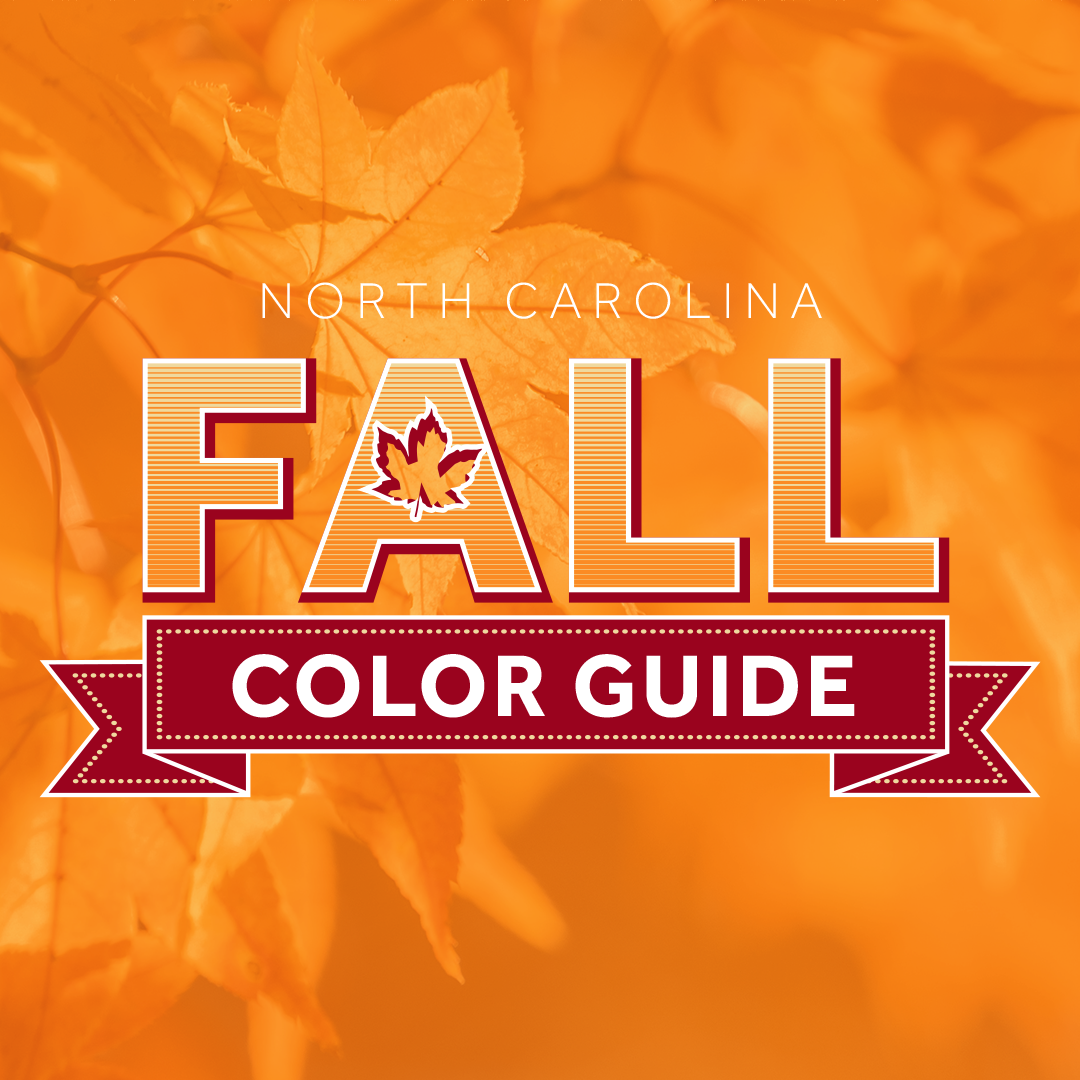 WXII-TV Fall Color Guide