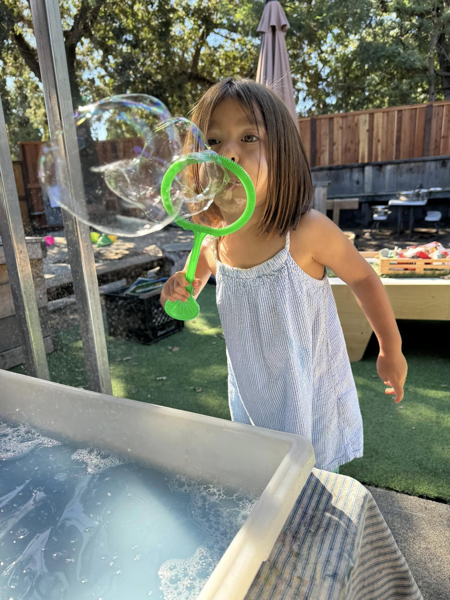 SOW_bubbles.jpg