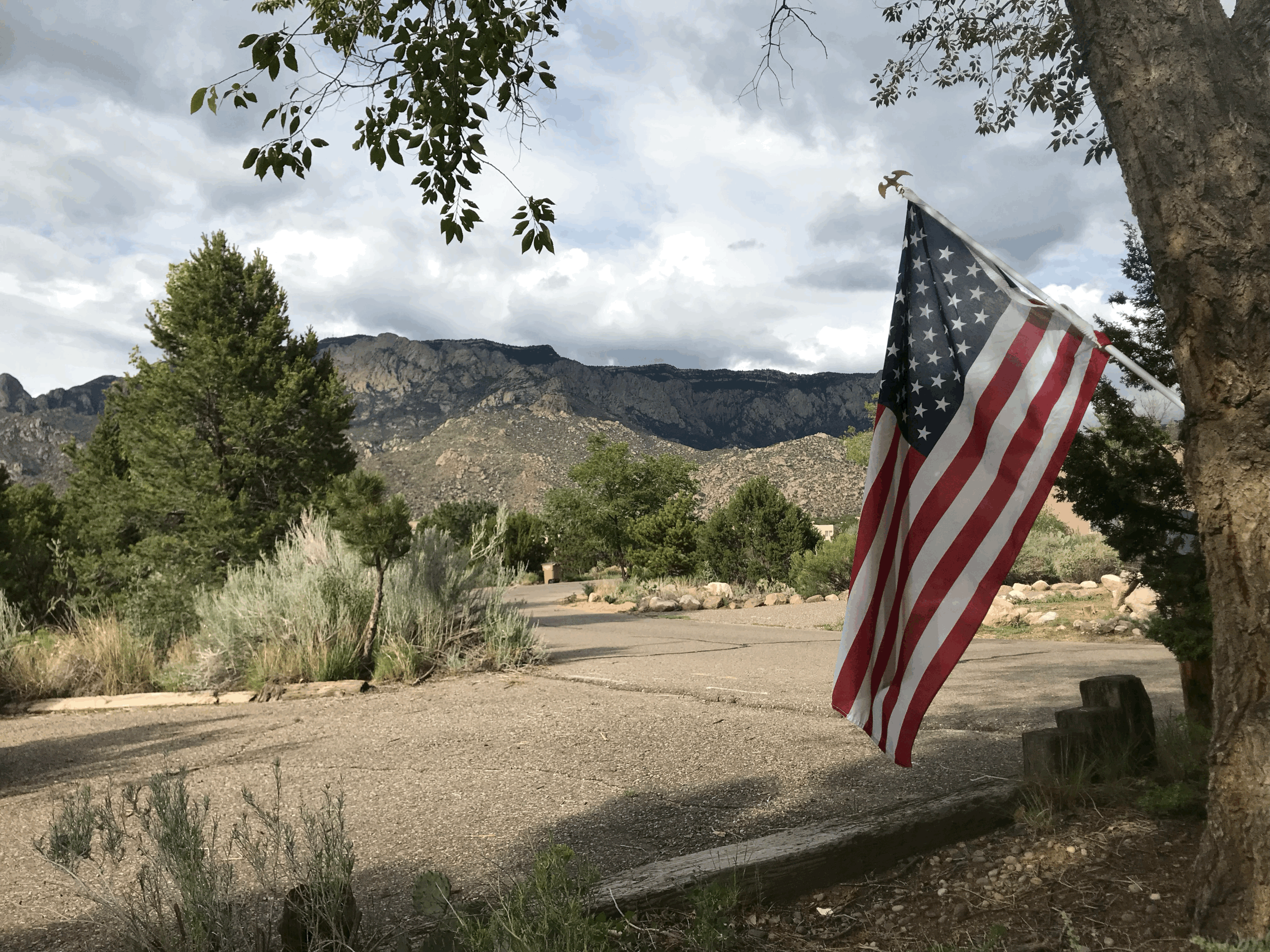 This Flag is Your Flag