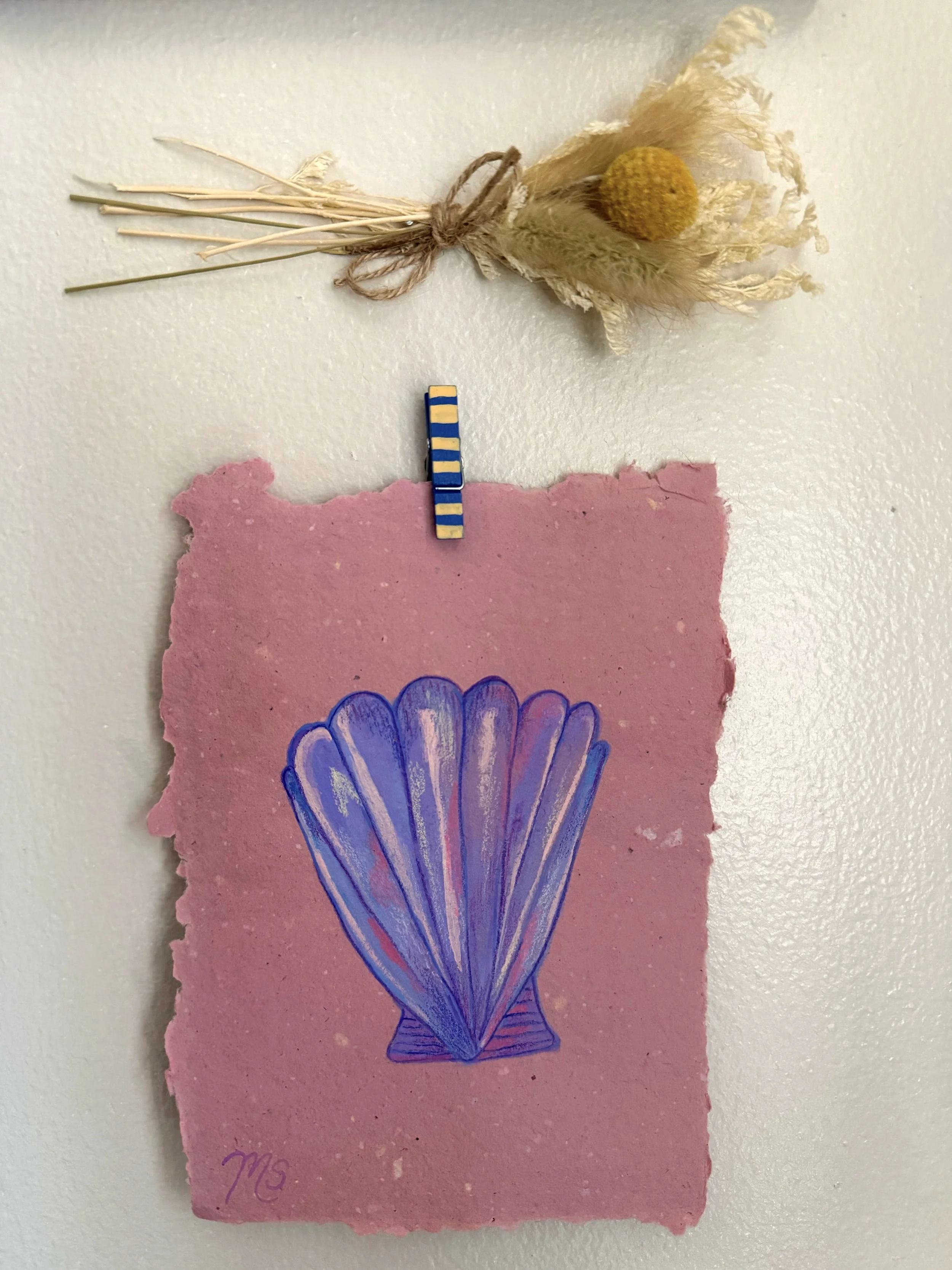 Shell, Gouache
