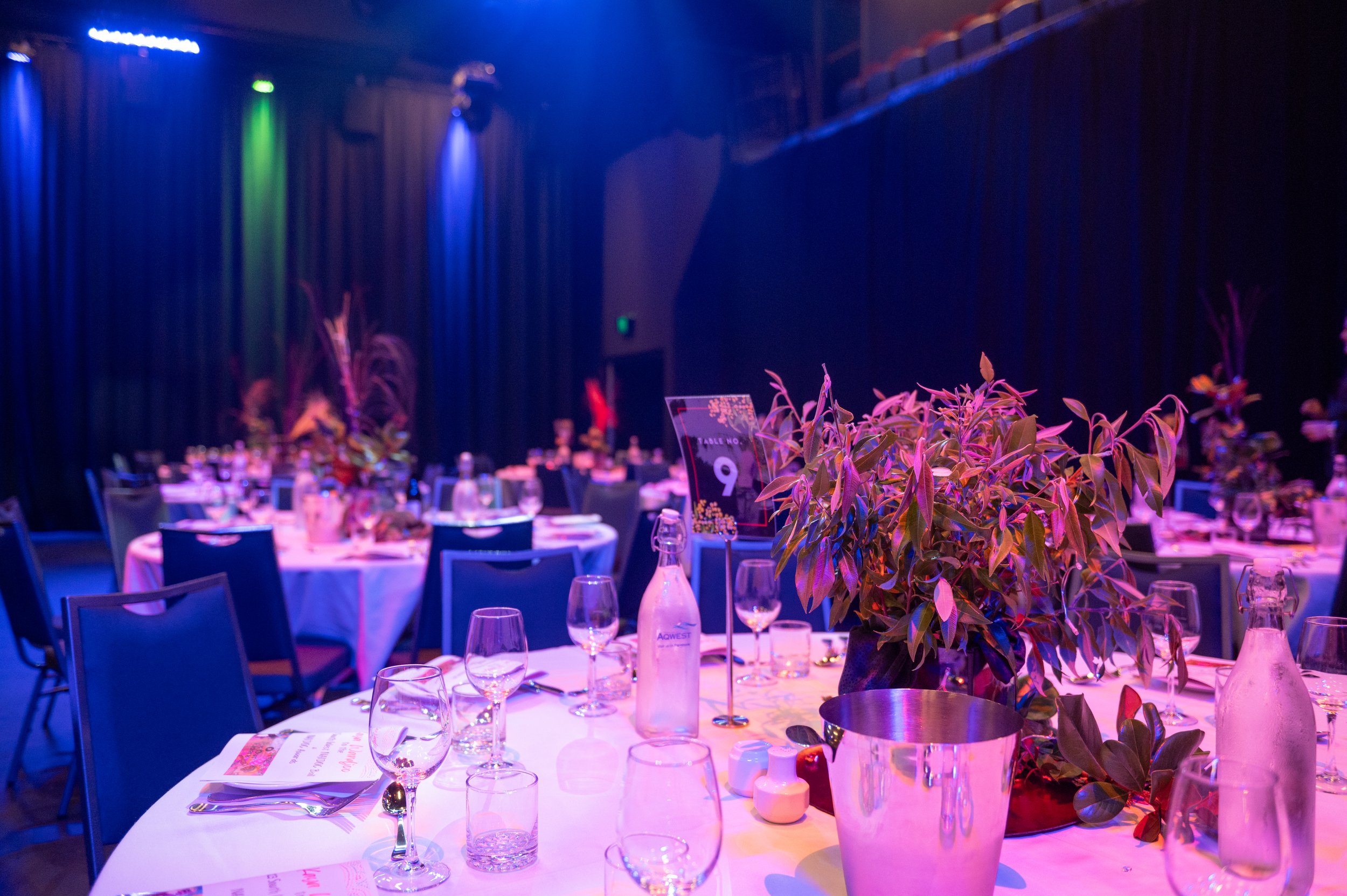HendersonPhotographics_021.jpg
