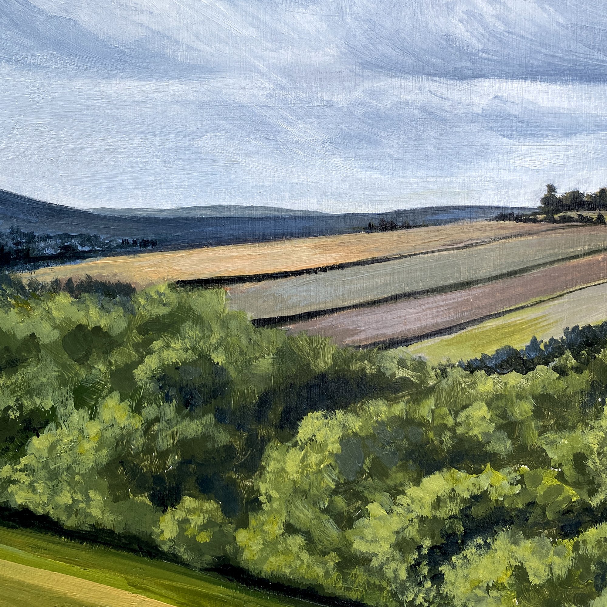 Rivelin-Valley-UK-Stefanie-Rapoza6.jpg