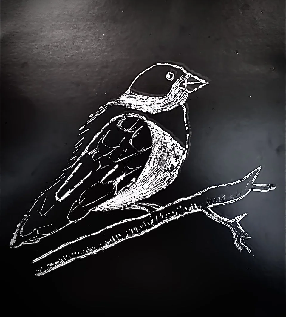 Scratchboard (K-2)