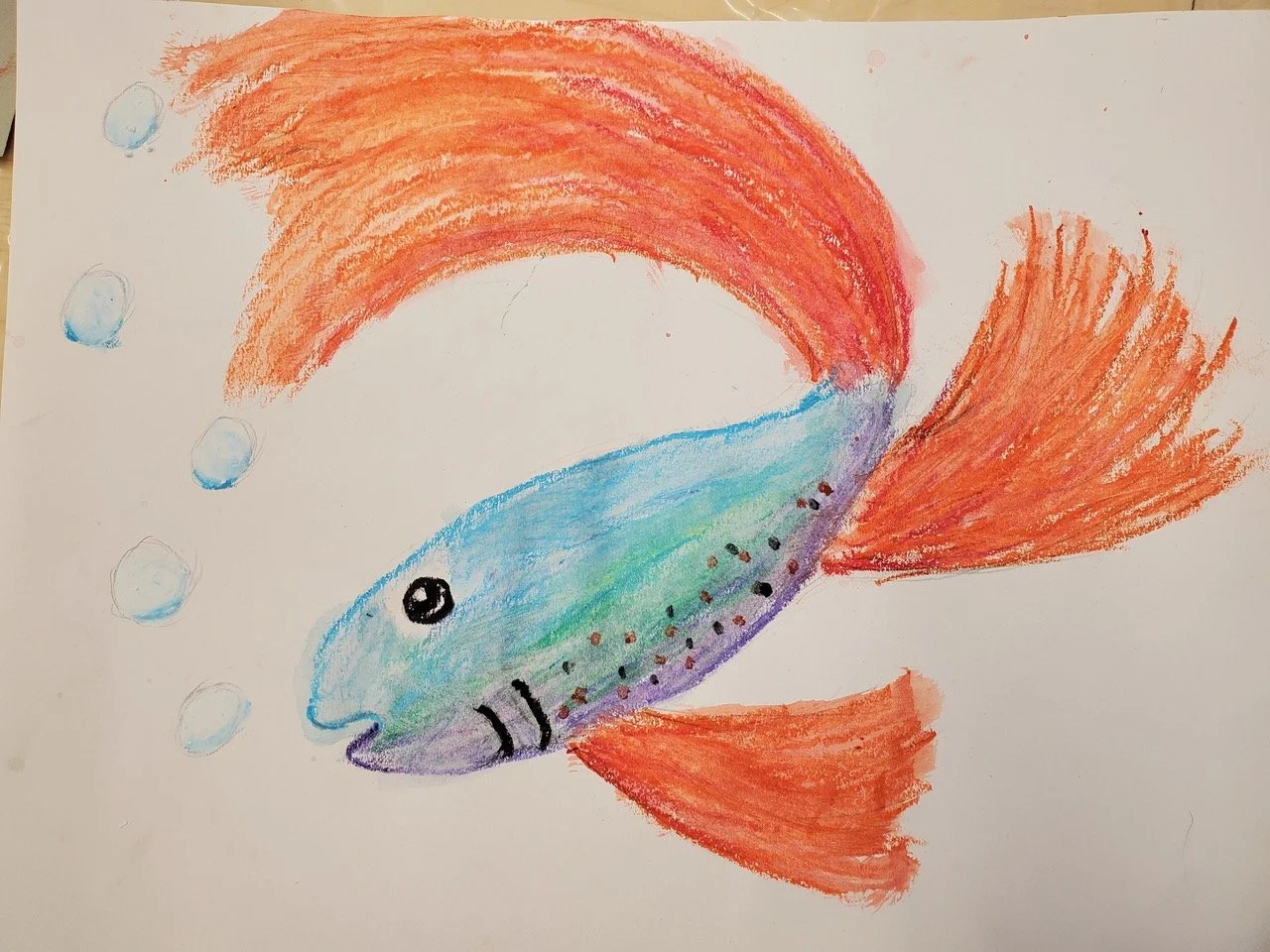 Water Soluable oil pastel (3-5)