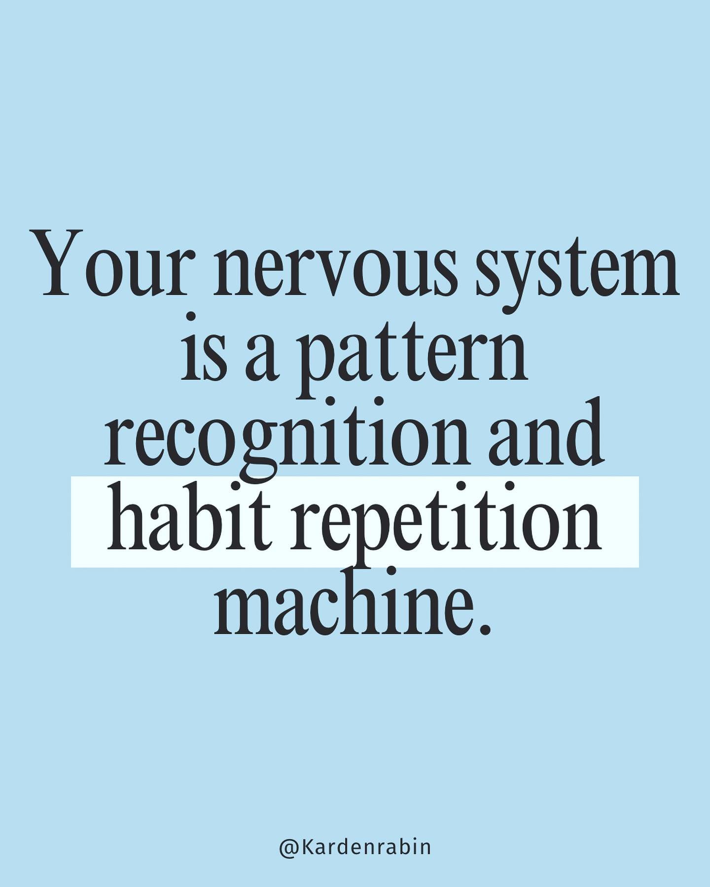 Your nervous system excels at recognizing patterns and repeating habits. From interpreting the world around you to forming automatic behaviors, this dynamic process shapes your thoughts and actions. Understanding how your nervous system operates can 