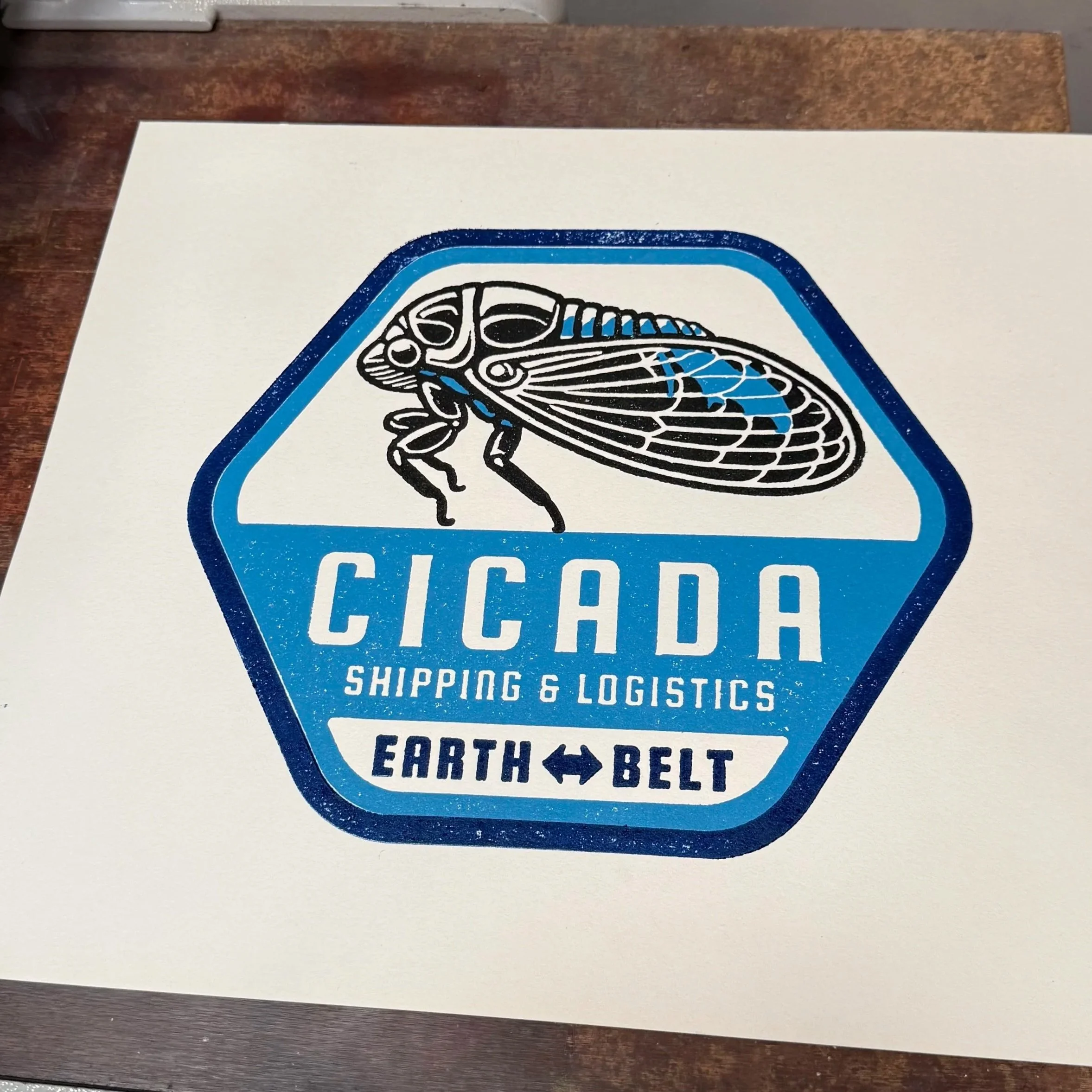 Cicada Logo