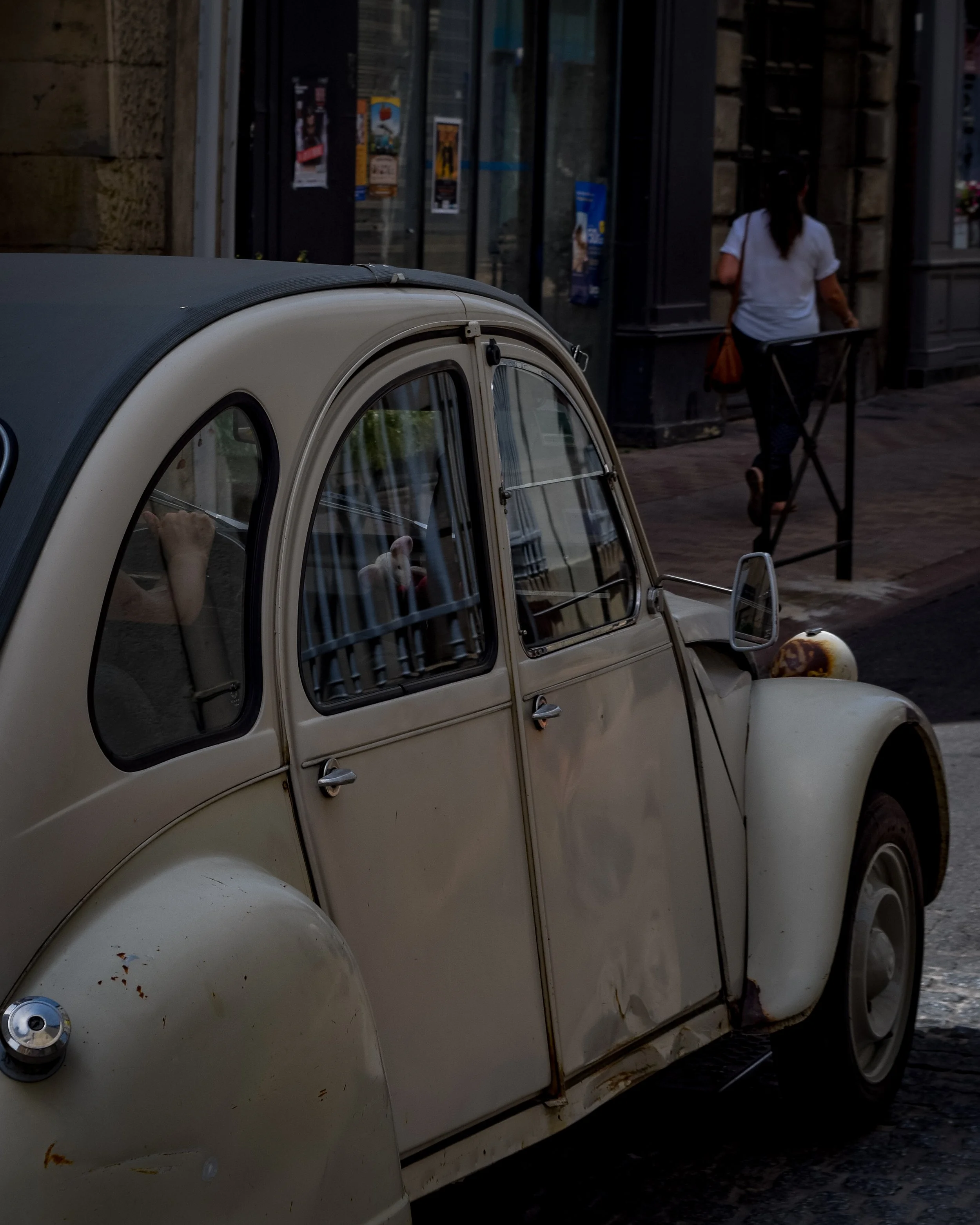 DSC_0288.jpg